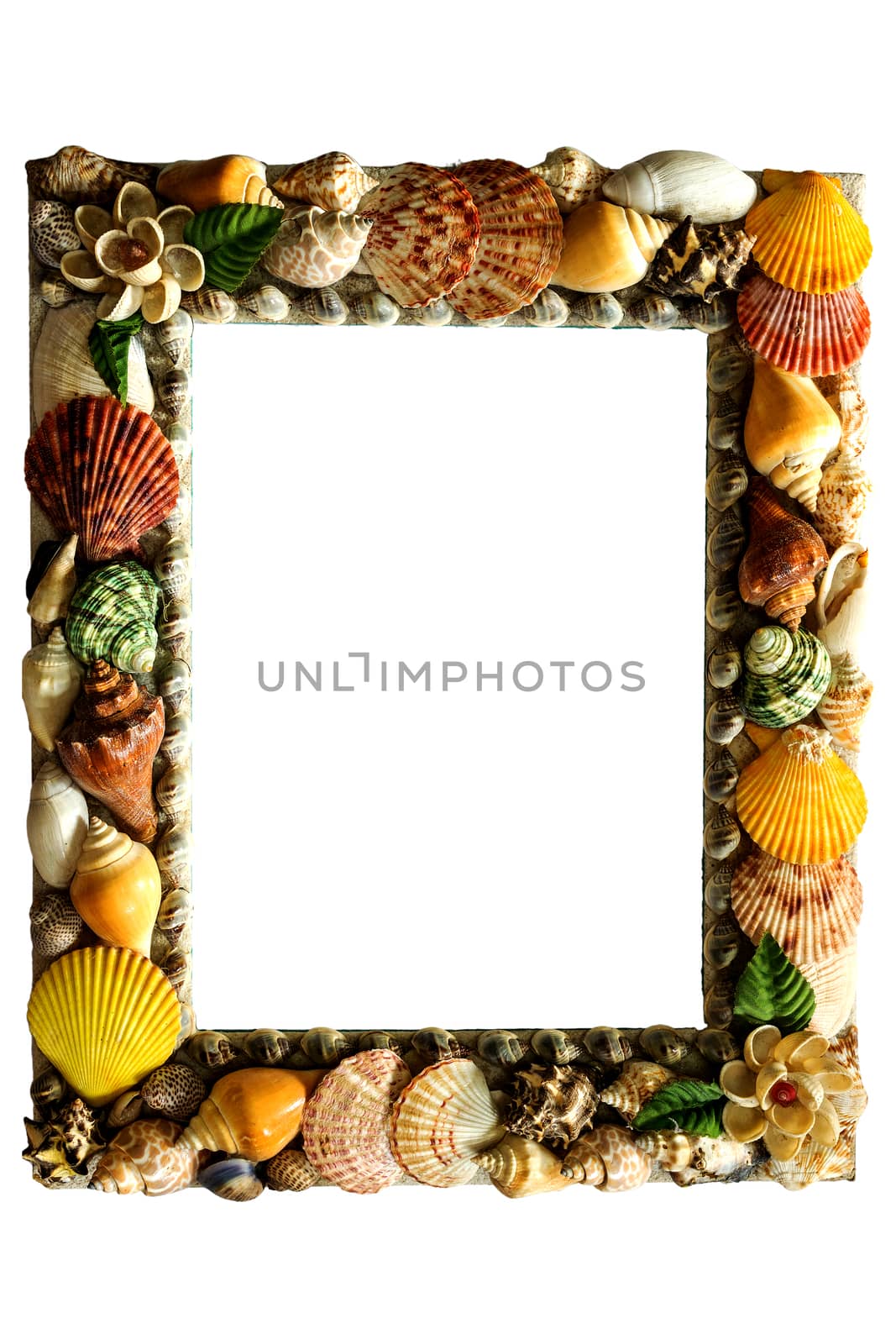 Shell picture frame isolated on white background.