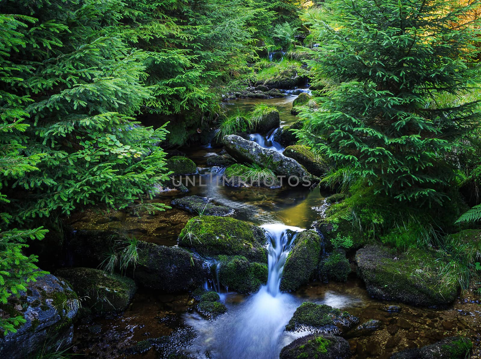Beautiful pictures of Czech Republic