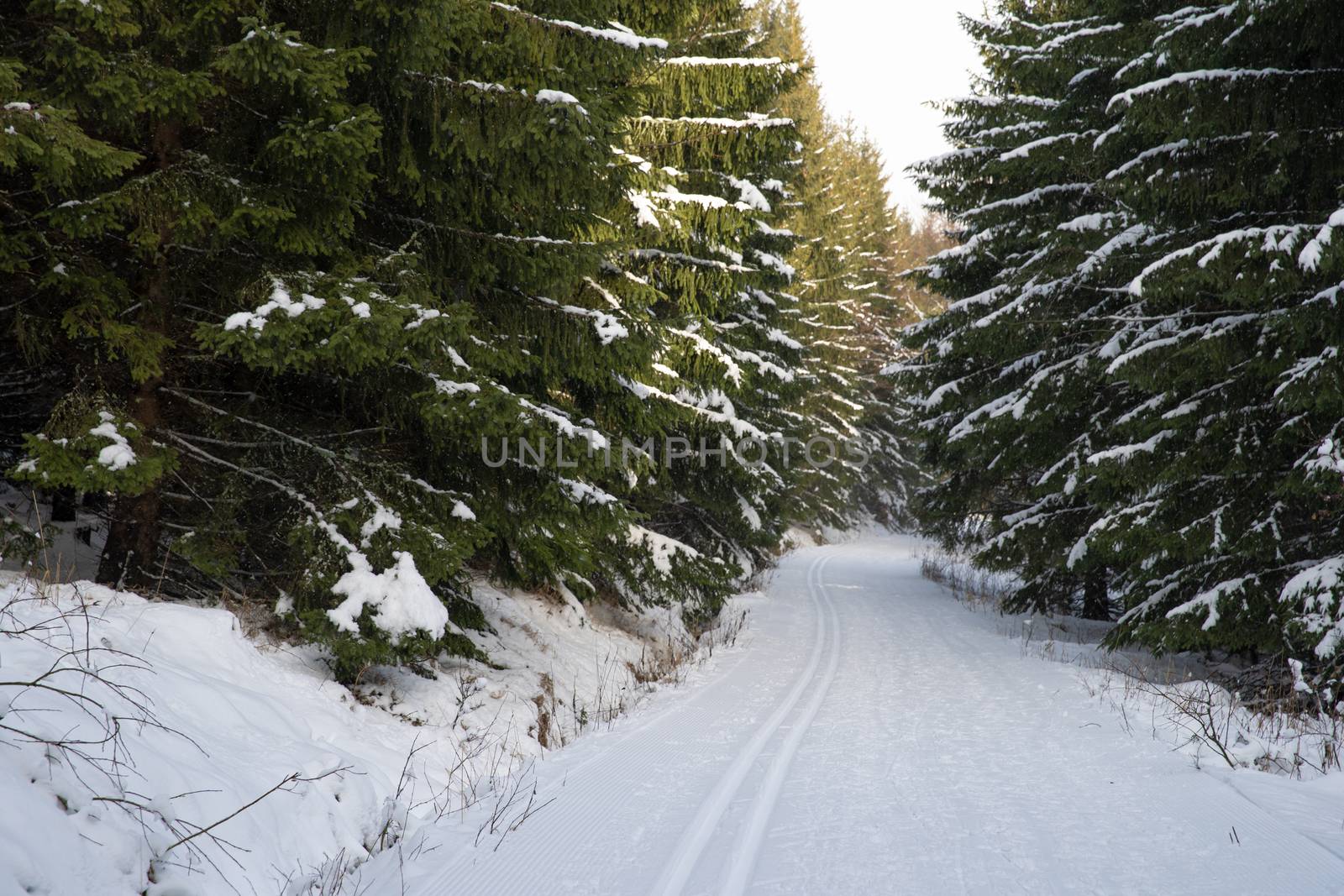 Footprints in the snow for cross-country skiing.