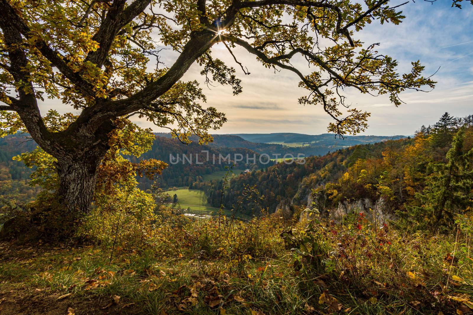 Fantastic autumn hike in the beautiful Danube valley near the Beuron monastery by mindscapephotos