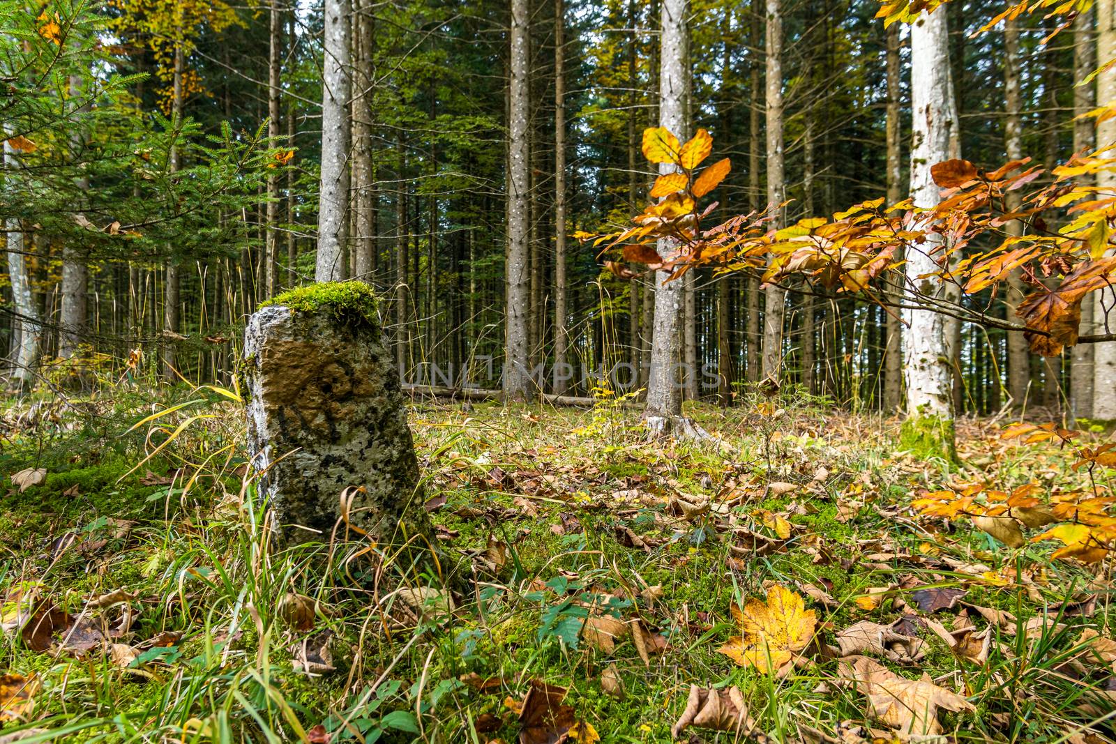 Historic landmark on the hiking trail in the Danube Valley in autumn by mindscapephotos