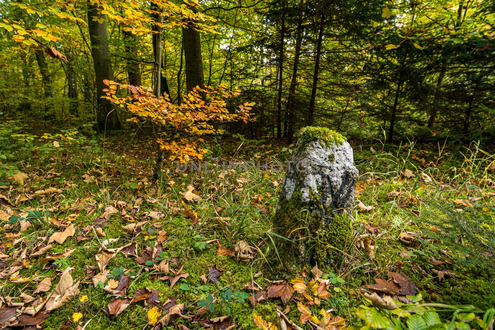 Historic landmark on the hiking trail in the Danube Valley in autumn by mindscapephotos