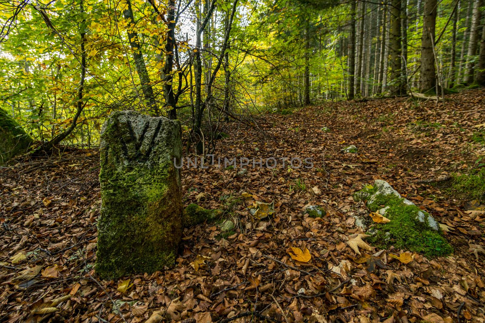 Historic landmark on the hiking trail in the Danube Valley in autumn by mindscapephotos