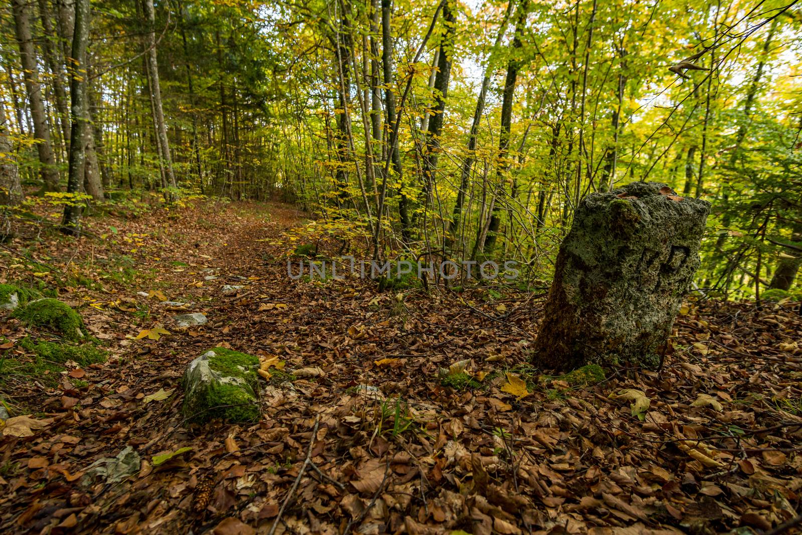 Historic landmark on the hiking trail in the Danube Valley in autumn by mindscapephotos