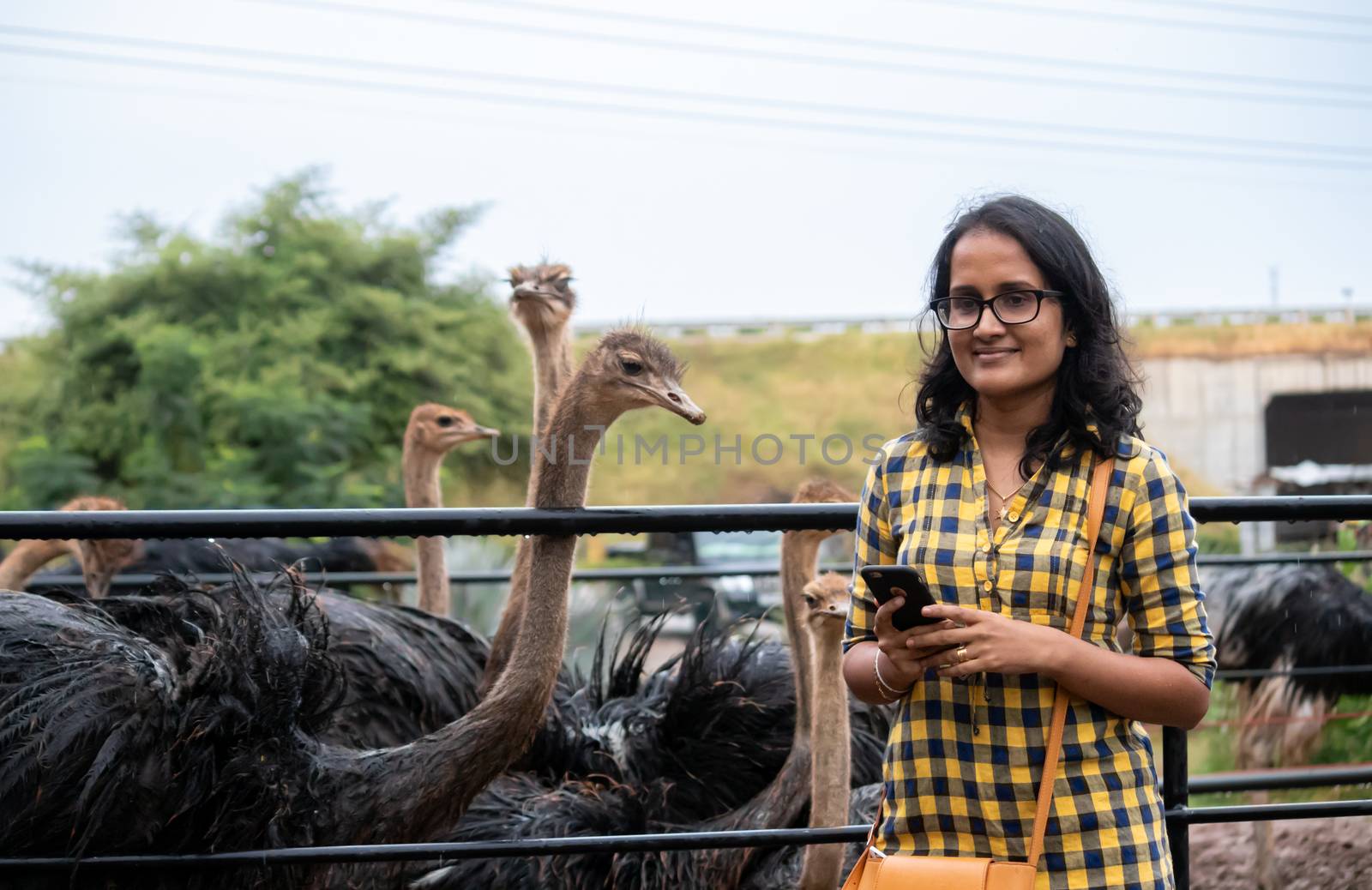 Hambantota, Southern Province / Sri Lanka - 09 01 2020: Curious Ostrich peeking at Young beautiful girl's mobile device at the park. by nilanka