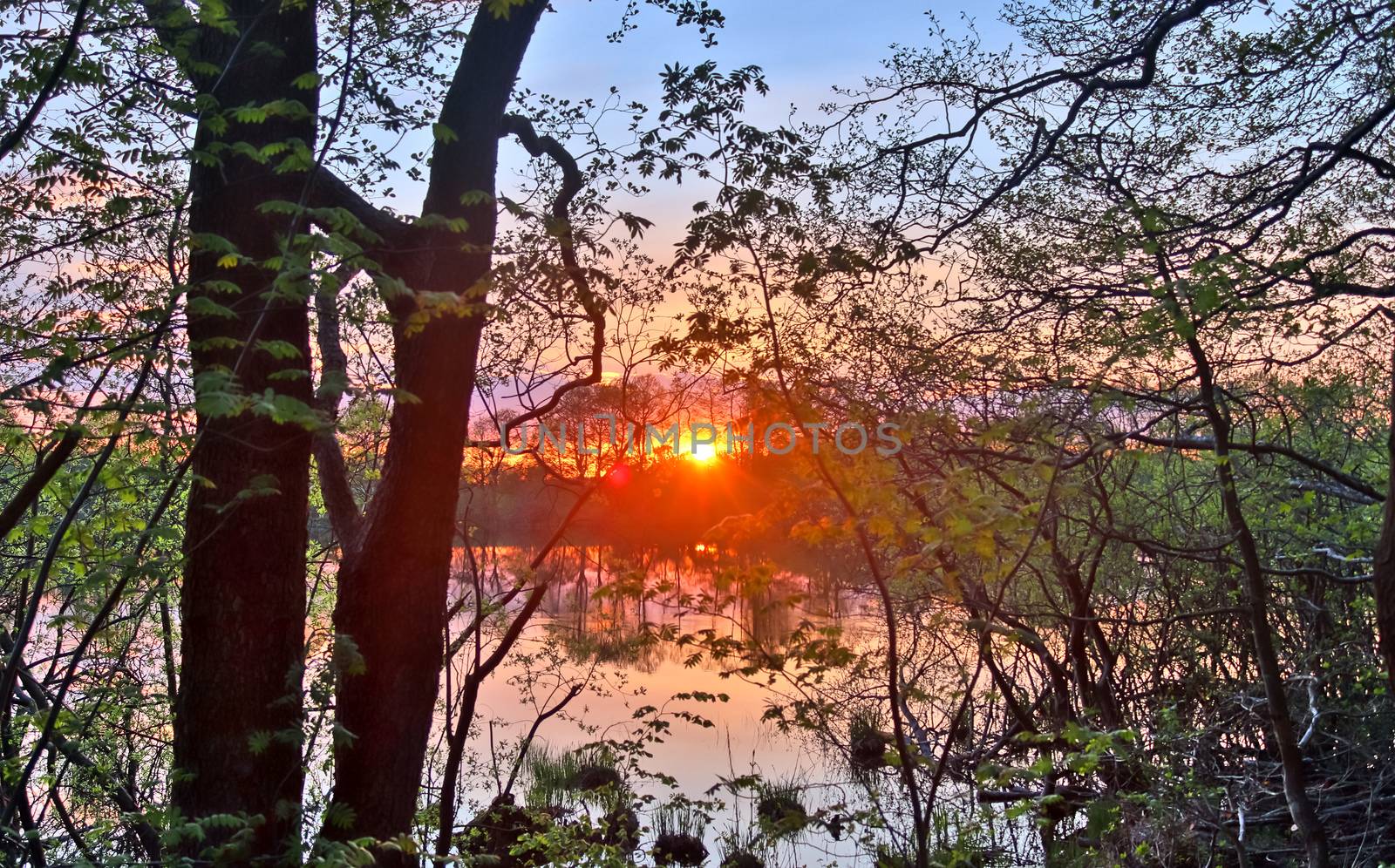 Beautiful and romantic sunset at a lake in stunning yellow and orange colors