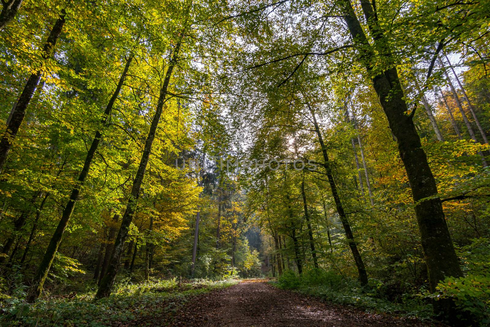 Fantastic autumn hike in the beautiful Danube valley at the Beuron monastery with beautiful views and rocks