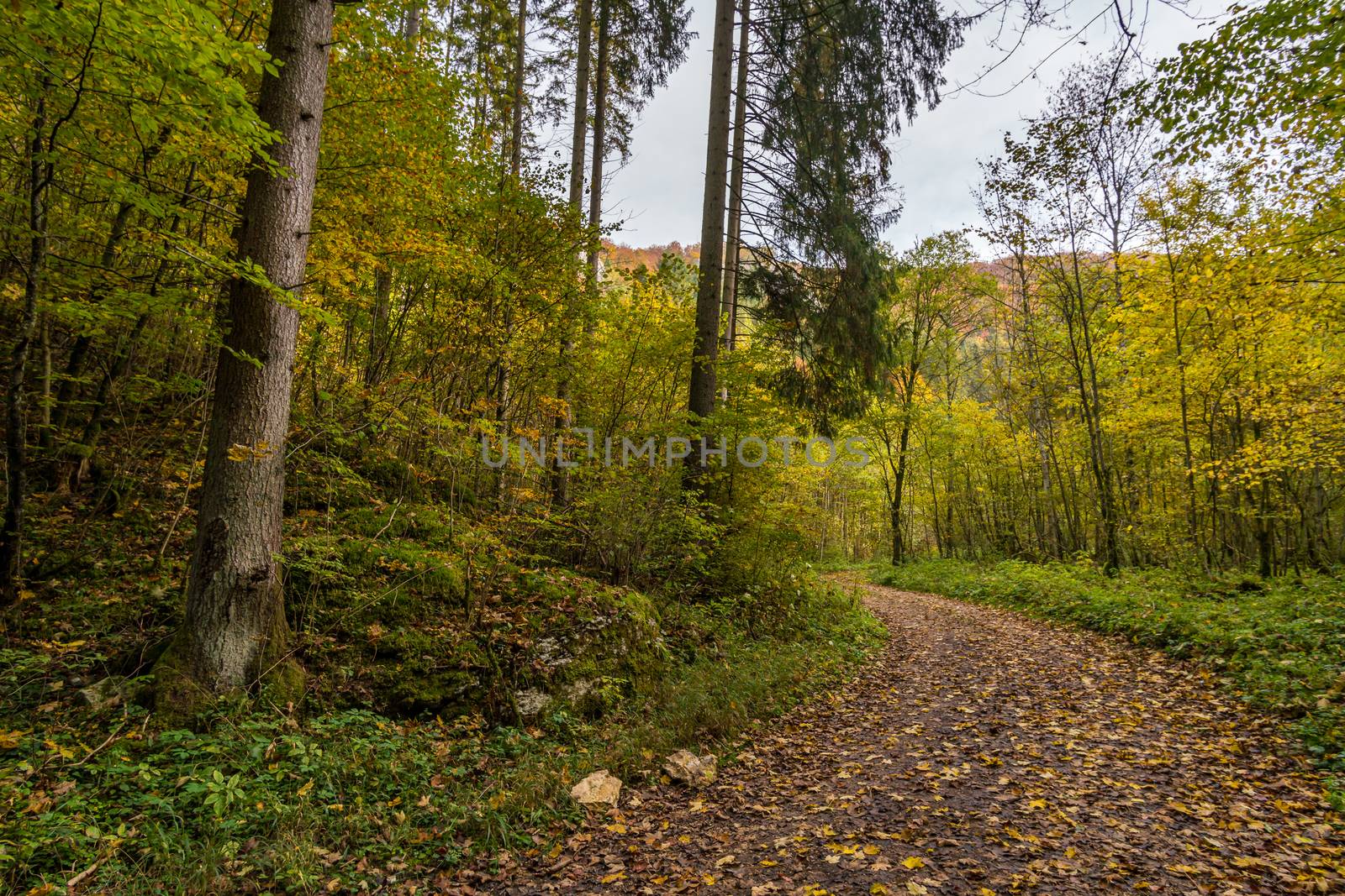 Fantastic autumn hike in the beautiful Danube valley near the Beuron monastery by mindscapephotos