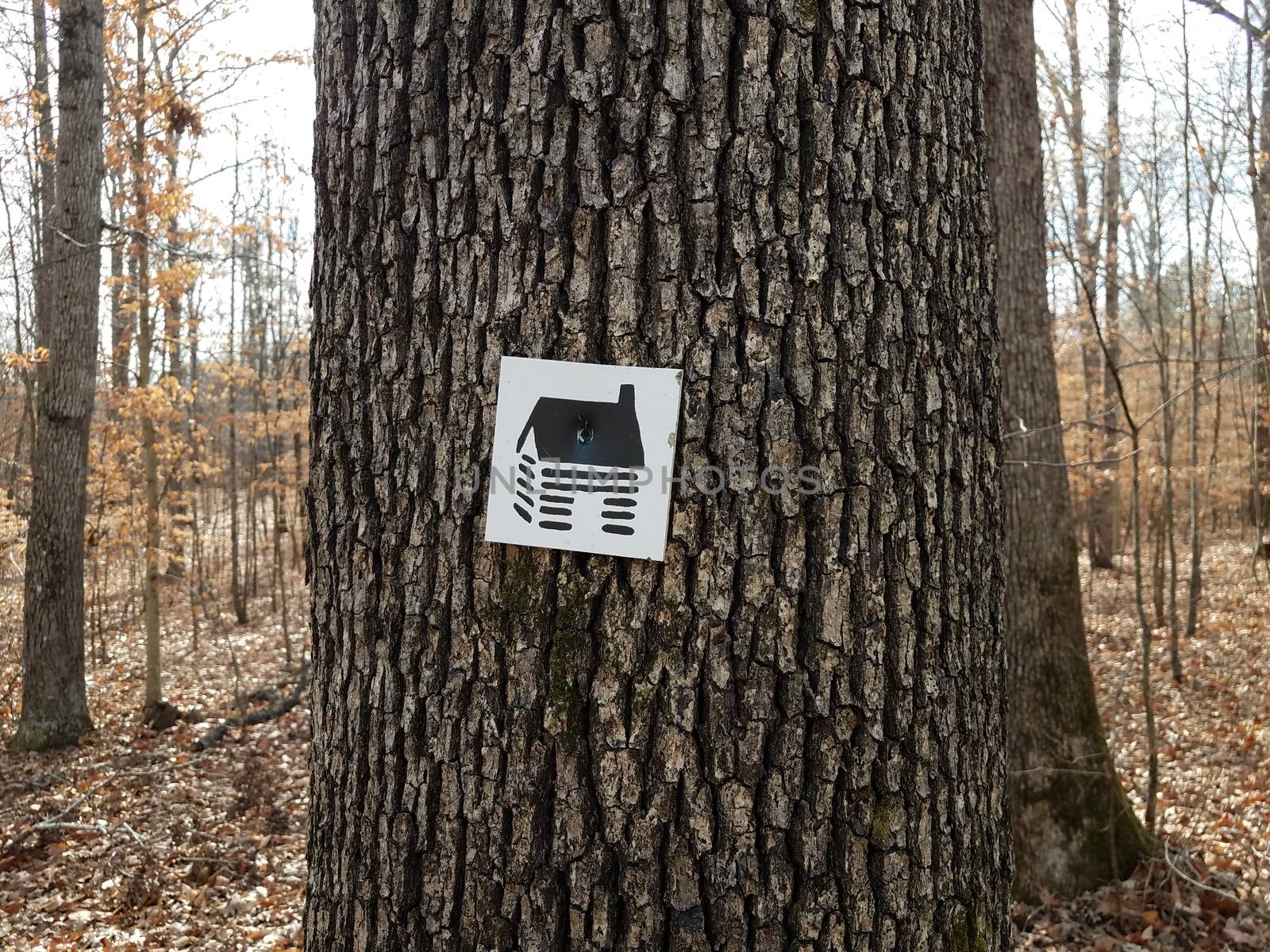 black and white cabin sign on tree bark by stockphotofan1