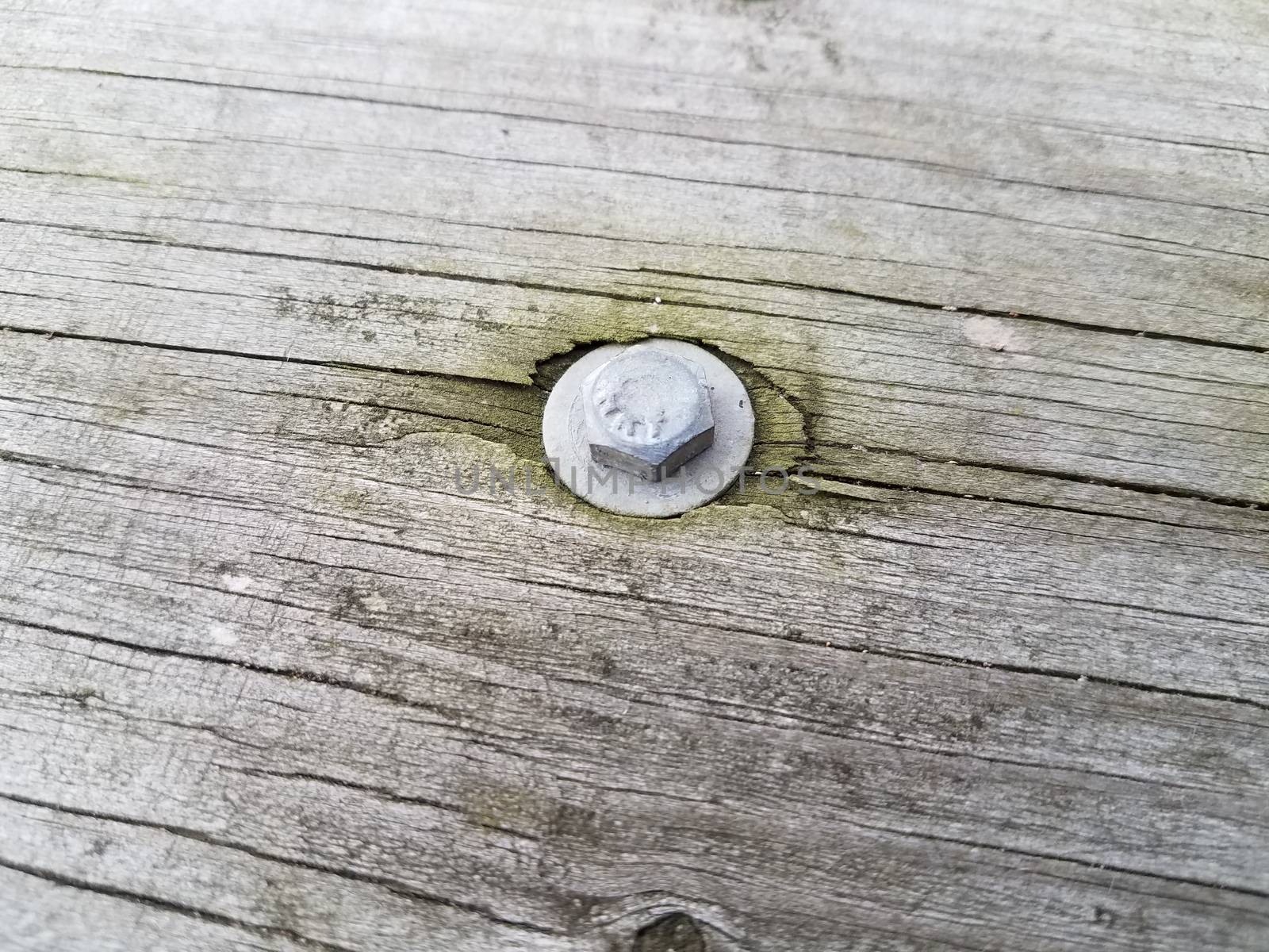 metal screw or bolt with washer in wood board