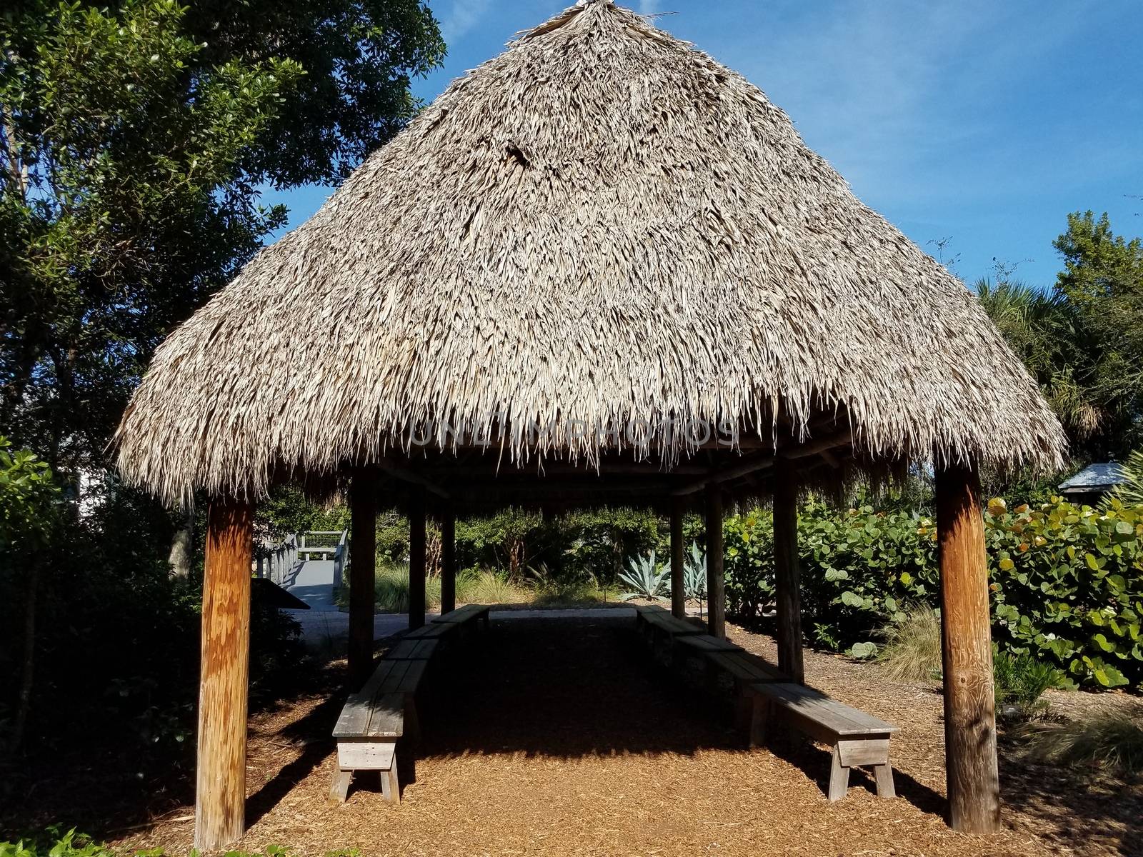 structure or building with grass or thatch roof and wood benches