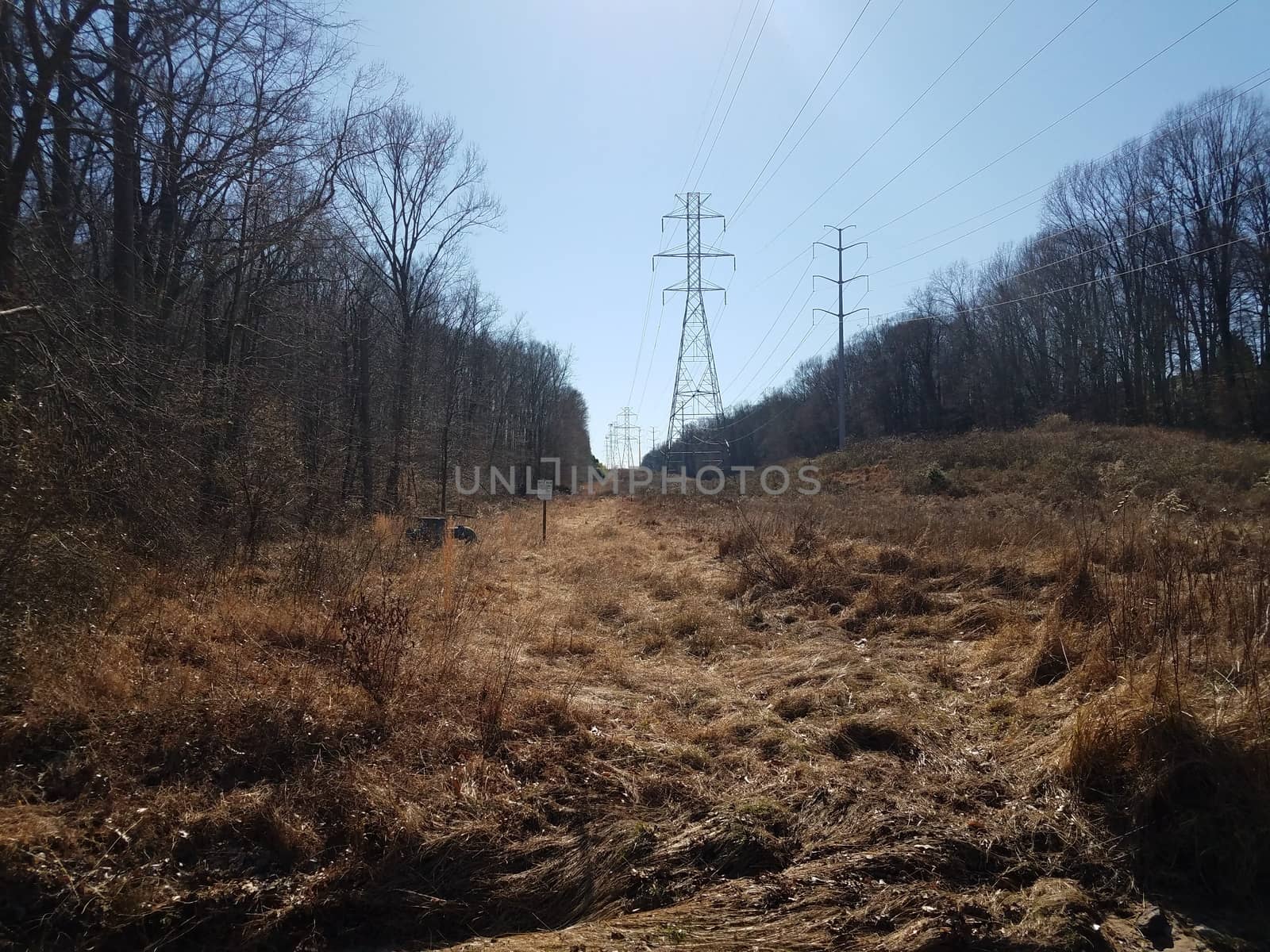 brown grasses and electricity towers in field with trees