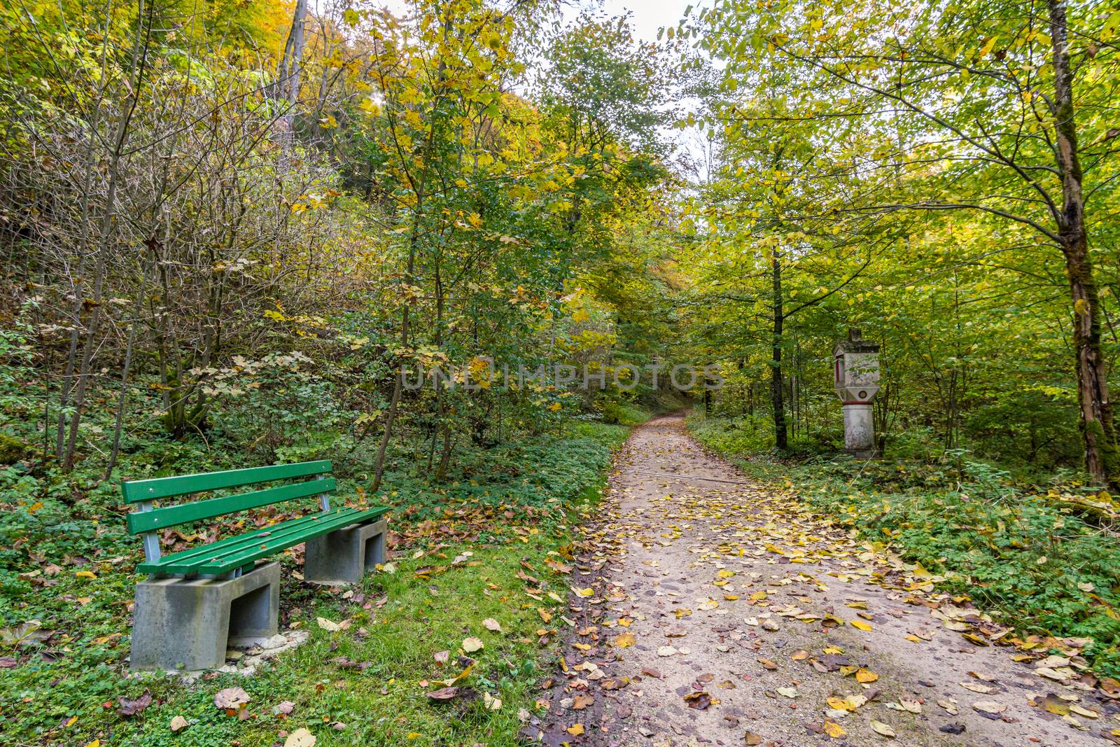 Holy Way of the Cross to the Lourdes Grotto a pilgrimage site to the Chapel in the Liebfrauental by mindscapephotos