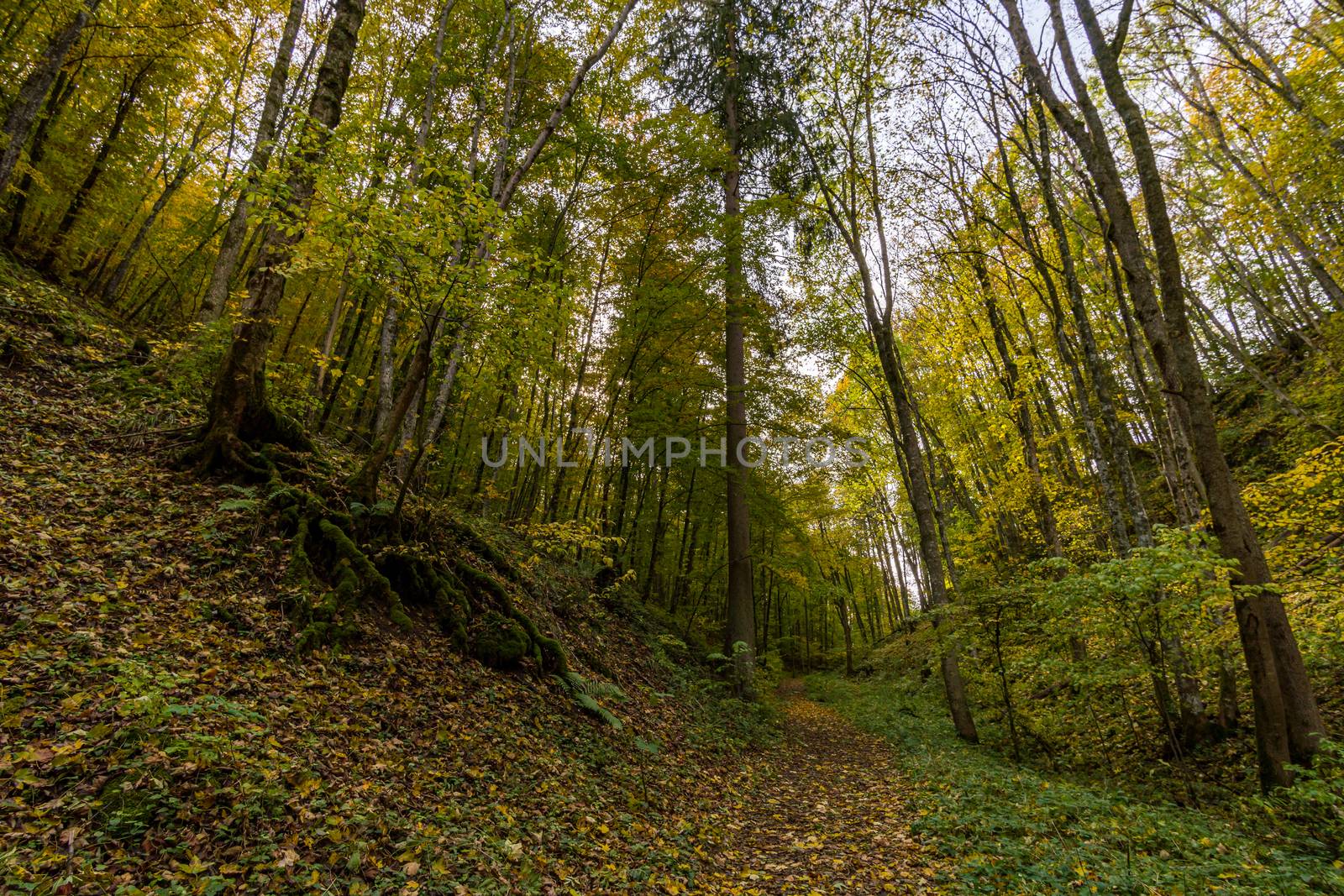 Fantastic autumn hike in the beautiful Danube valley near the Beuron monastery by mindscapephotos