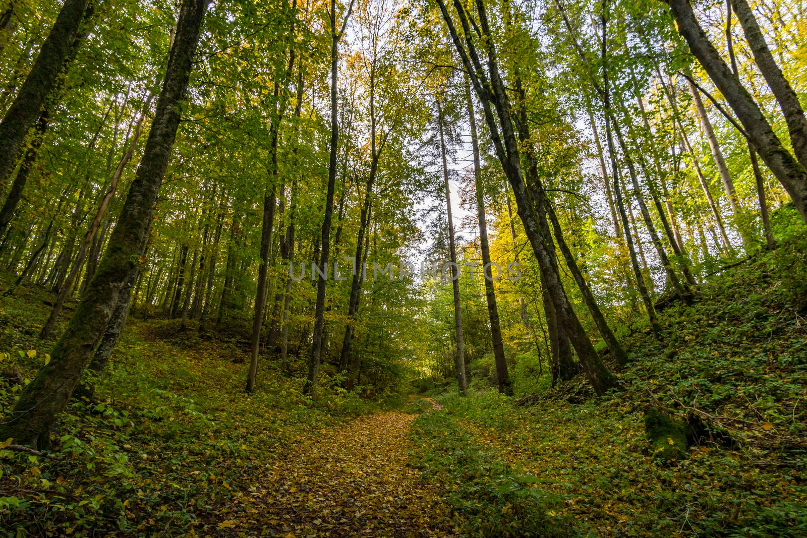 Fantastic autumn hike in the beautiful Danube valley at the Beuron monastery with beautiful views and rocks