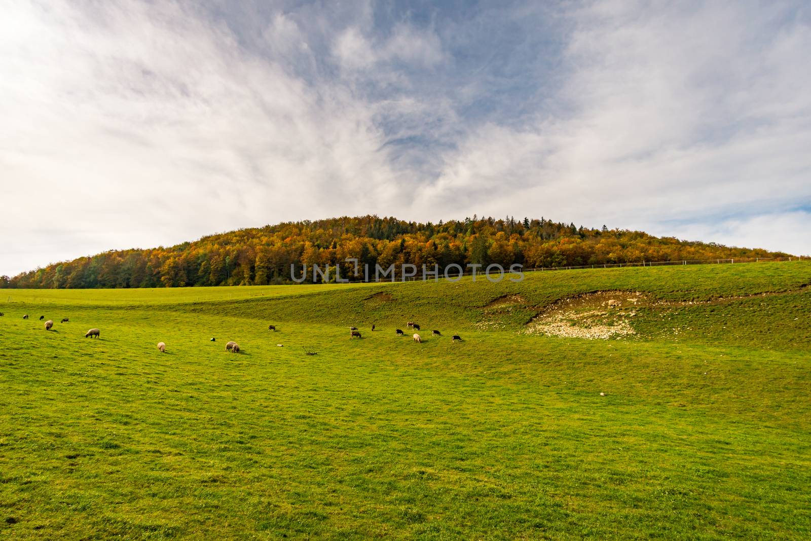 Fantastic autumn hike in the beautiful Danube valley near the Beuron monastery by mindscapephotos