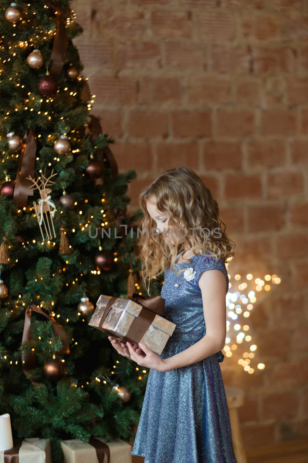 The adorable little girl in gorgeous dress holds gift box standing near Christmas tree.