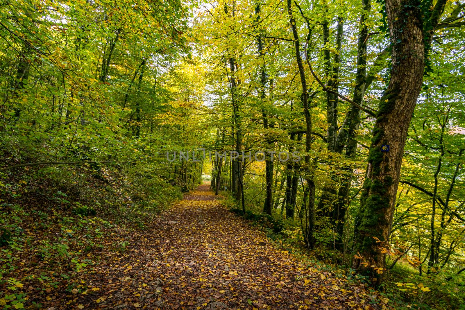 Fantastic autumn hike in the beautiful Danube valley at the Beuron monastery with beautiful views and rocks