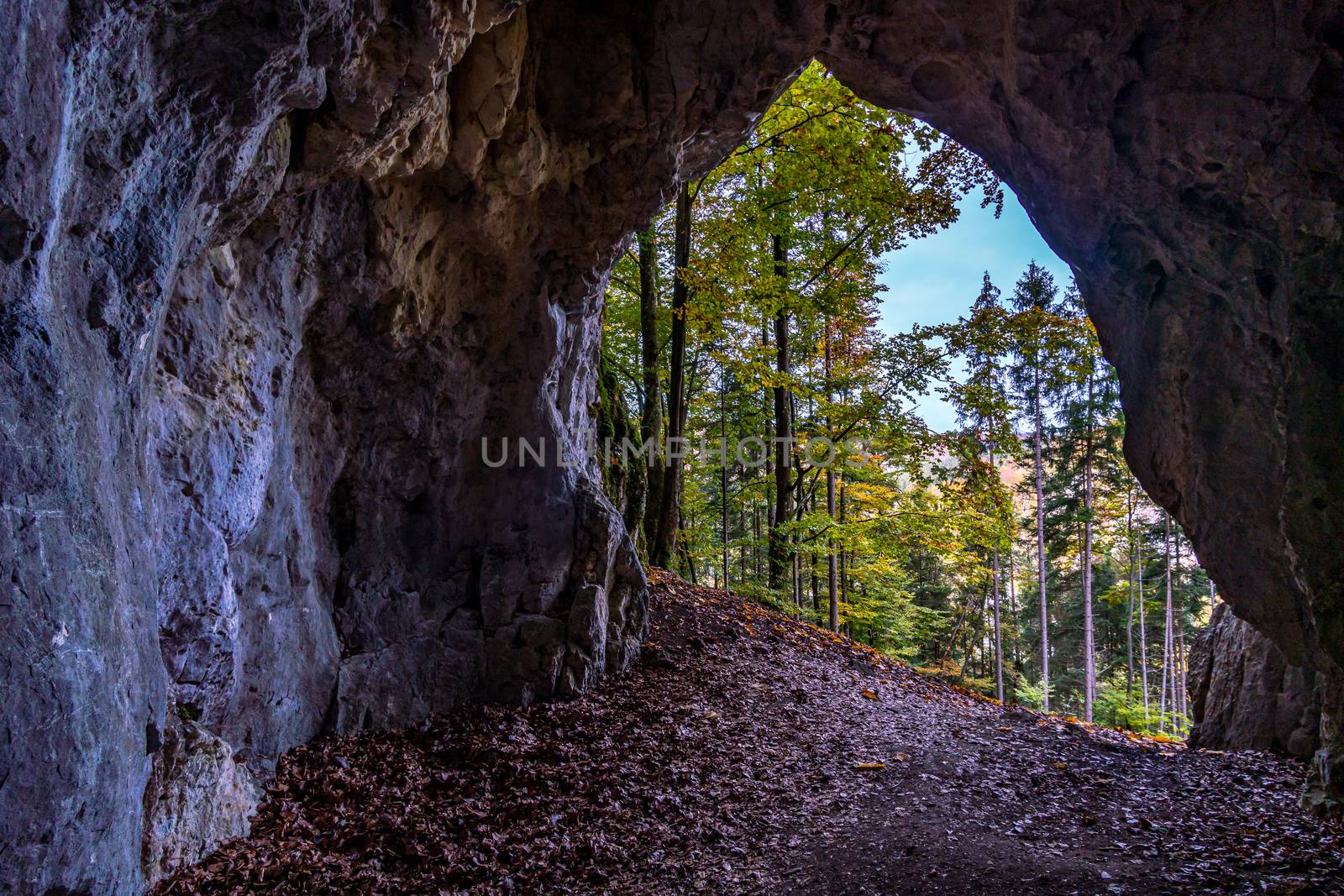 The Sperberloch at the Jagerhaus a cave in the Danube valley near Beuron by mindscapephotos