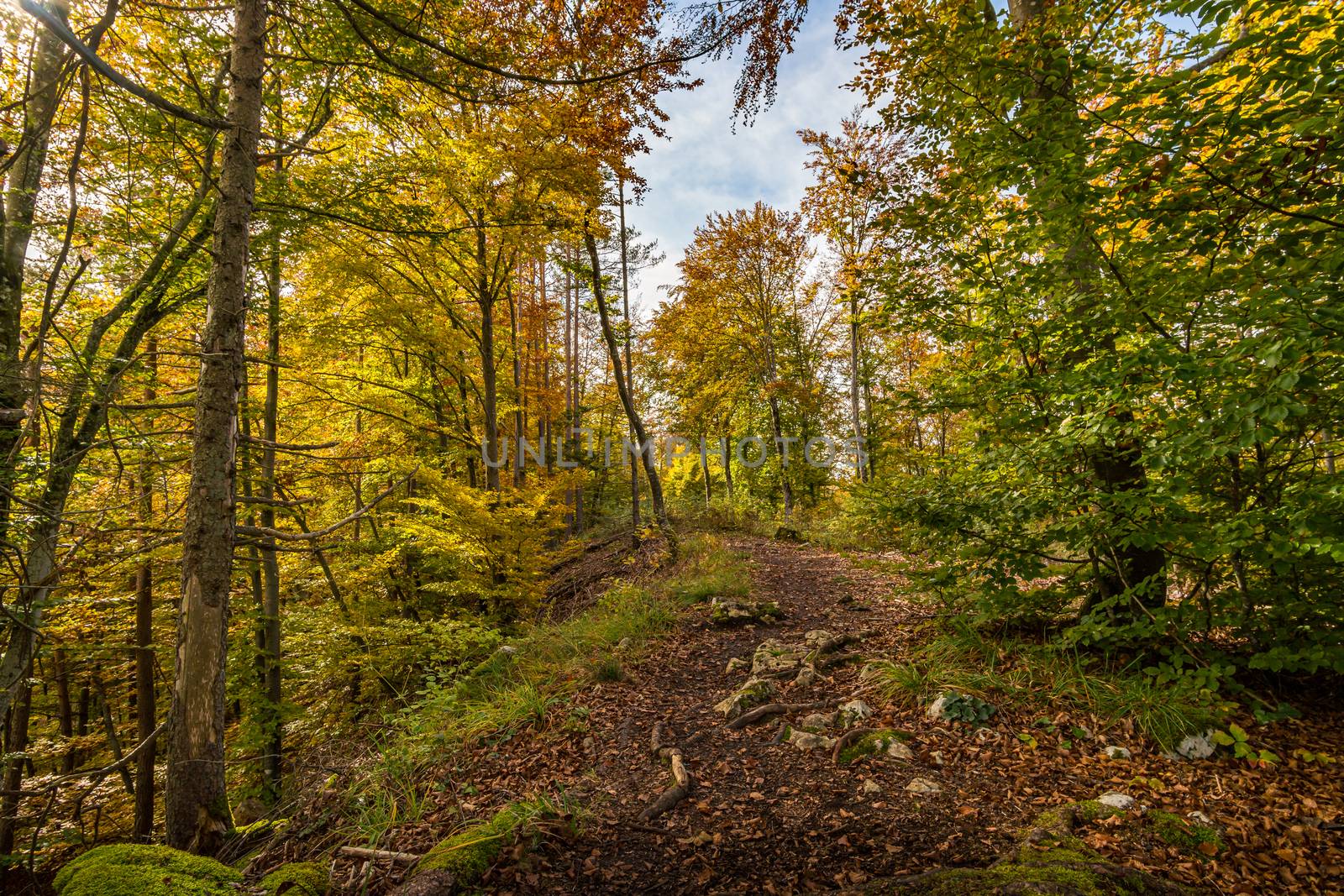 Fantastic autumn hike in the beautiful Danube valley at the Beuron monastery with beautiful views and rocks