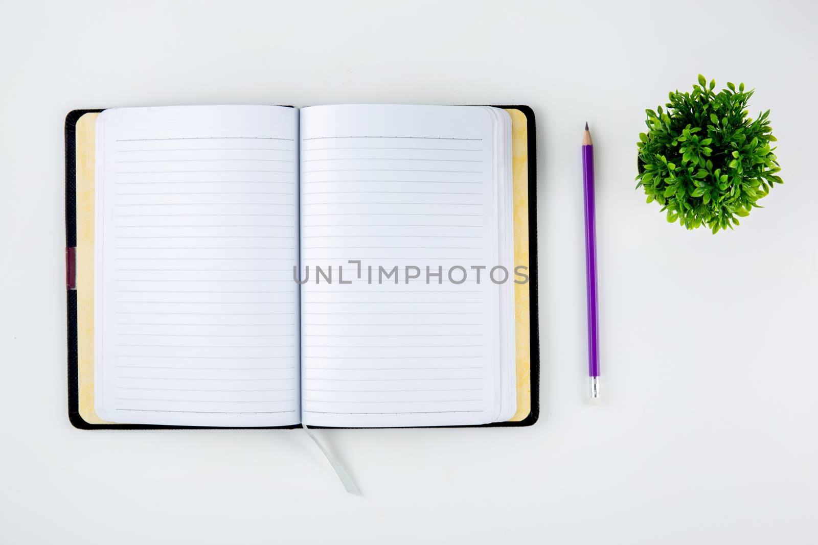 Open notebook or diary for reminder and memo and planner isolated on white background, book mockup and pencil and tree on desk office, education and supplies concept, top view.