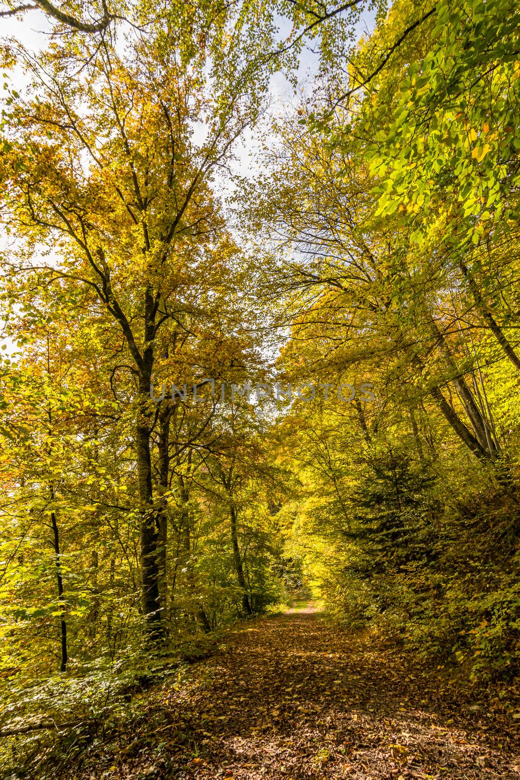 Fantastic autumn hike in the beautiful Danube valley near the Beuron monastery by mindscapephotos