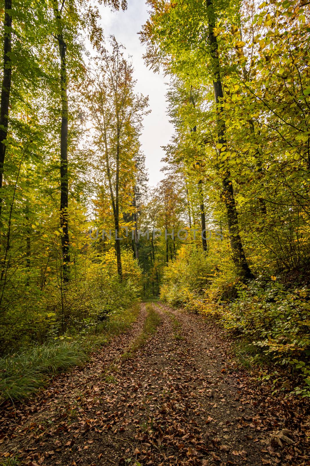 Fantastic autumn hike in the beautiful Danube valley at the Beuron monastery with beautiful views and rocks