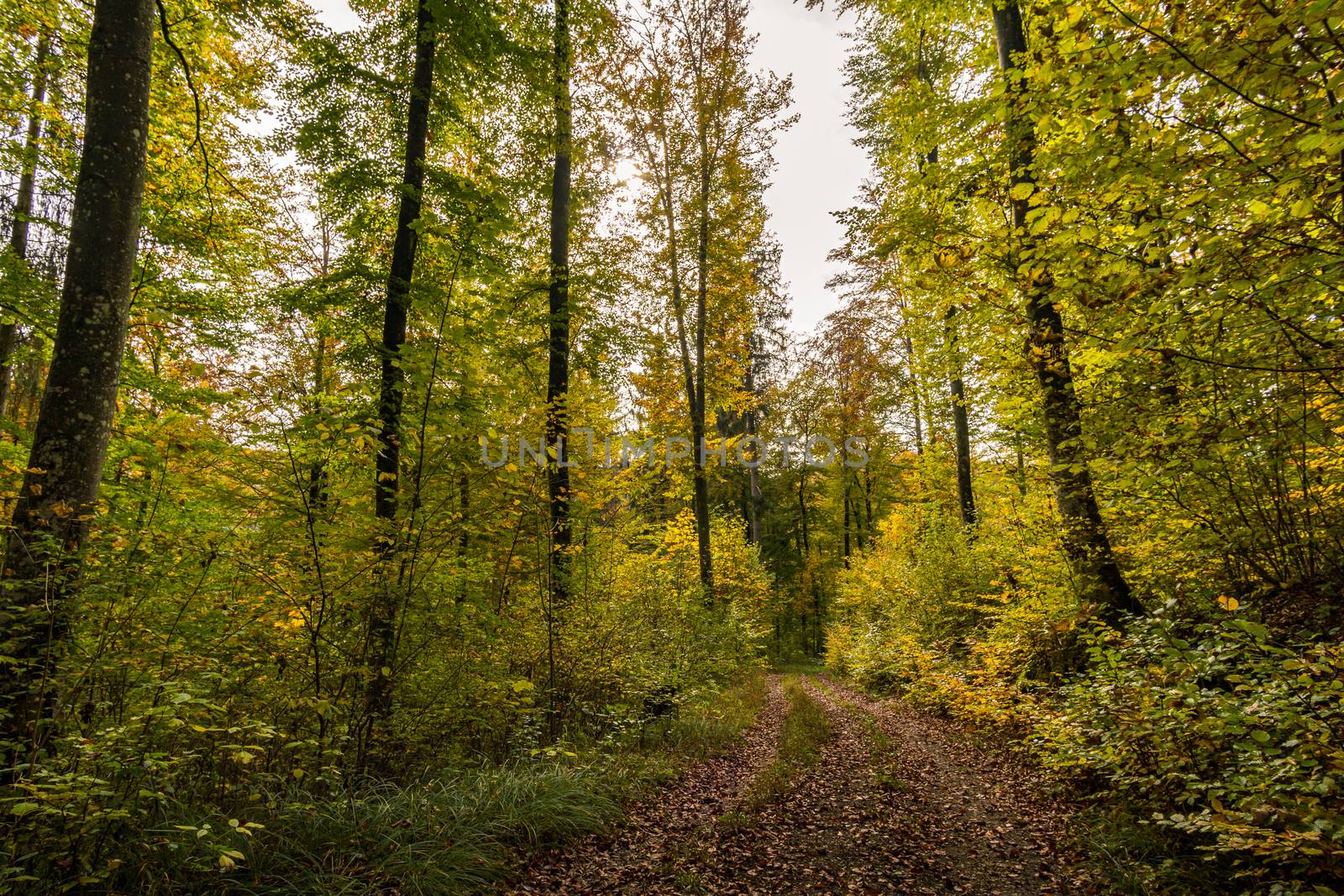 Fantastic autumn hike in the beautiful Danube valley at the Beuron monastery with beautiful views and rocks