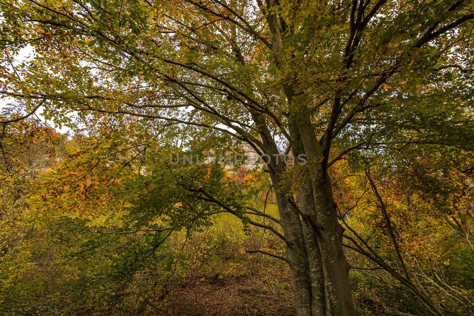 Fantastic autumn hike in the beautiful Danube valley at the Beuron monastery with beautiful views and rocks