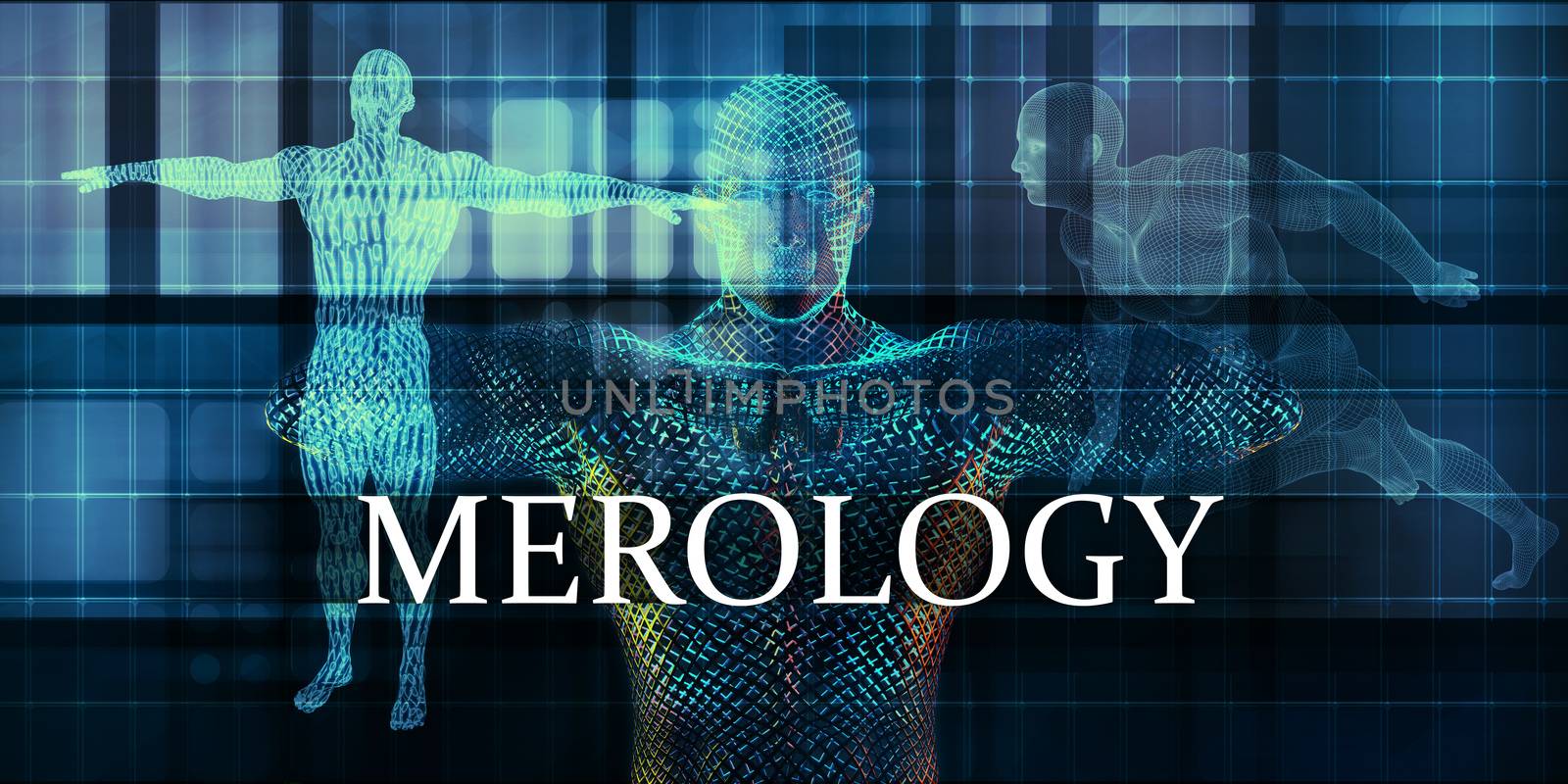 Merology Medicine Study as Medical Concept