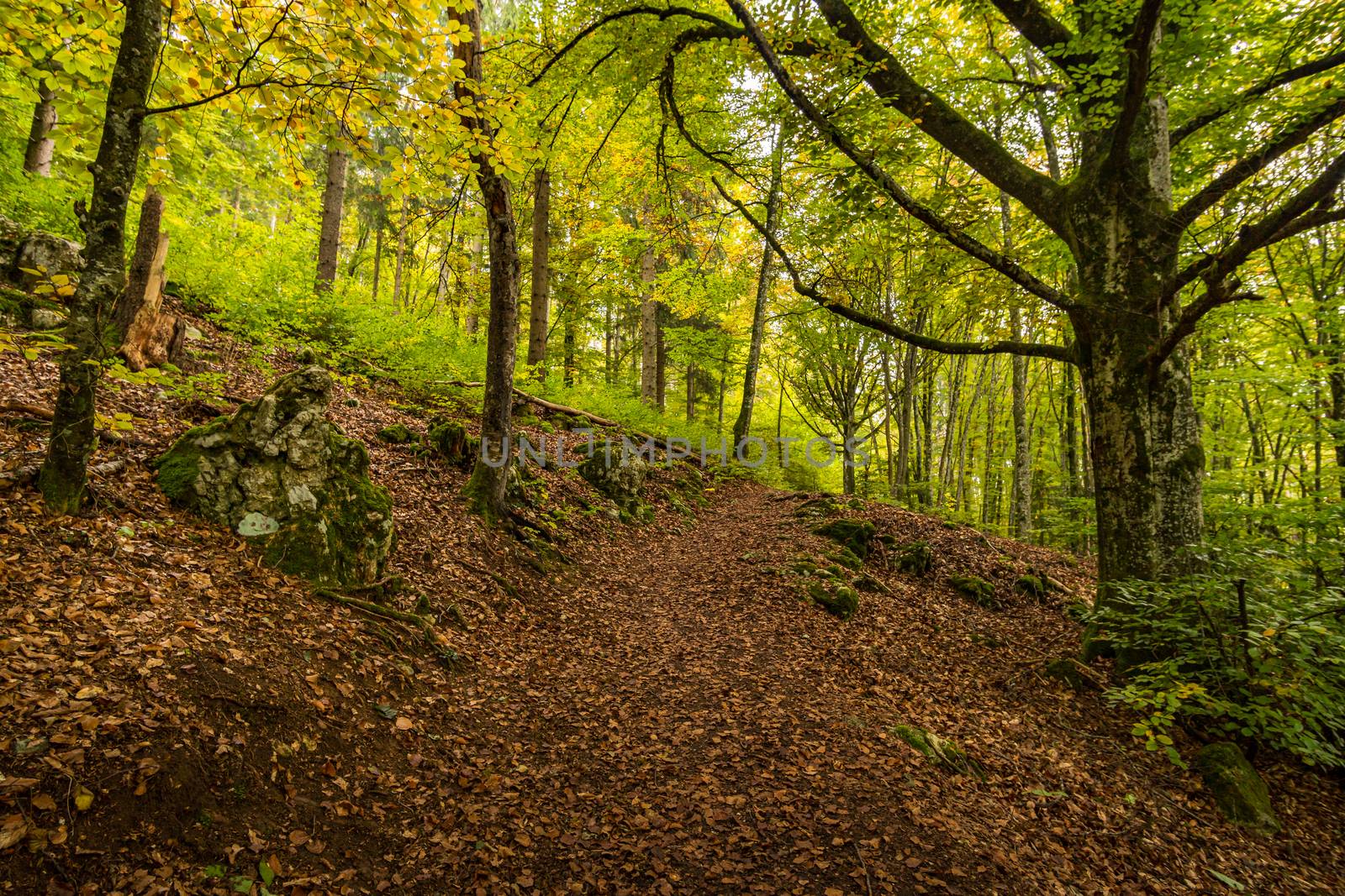 Fantastic autumn hike in the beautiful Danube valley at the Beuron monastery with beautiful views and rocks