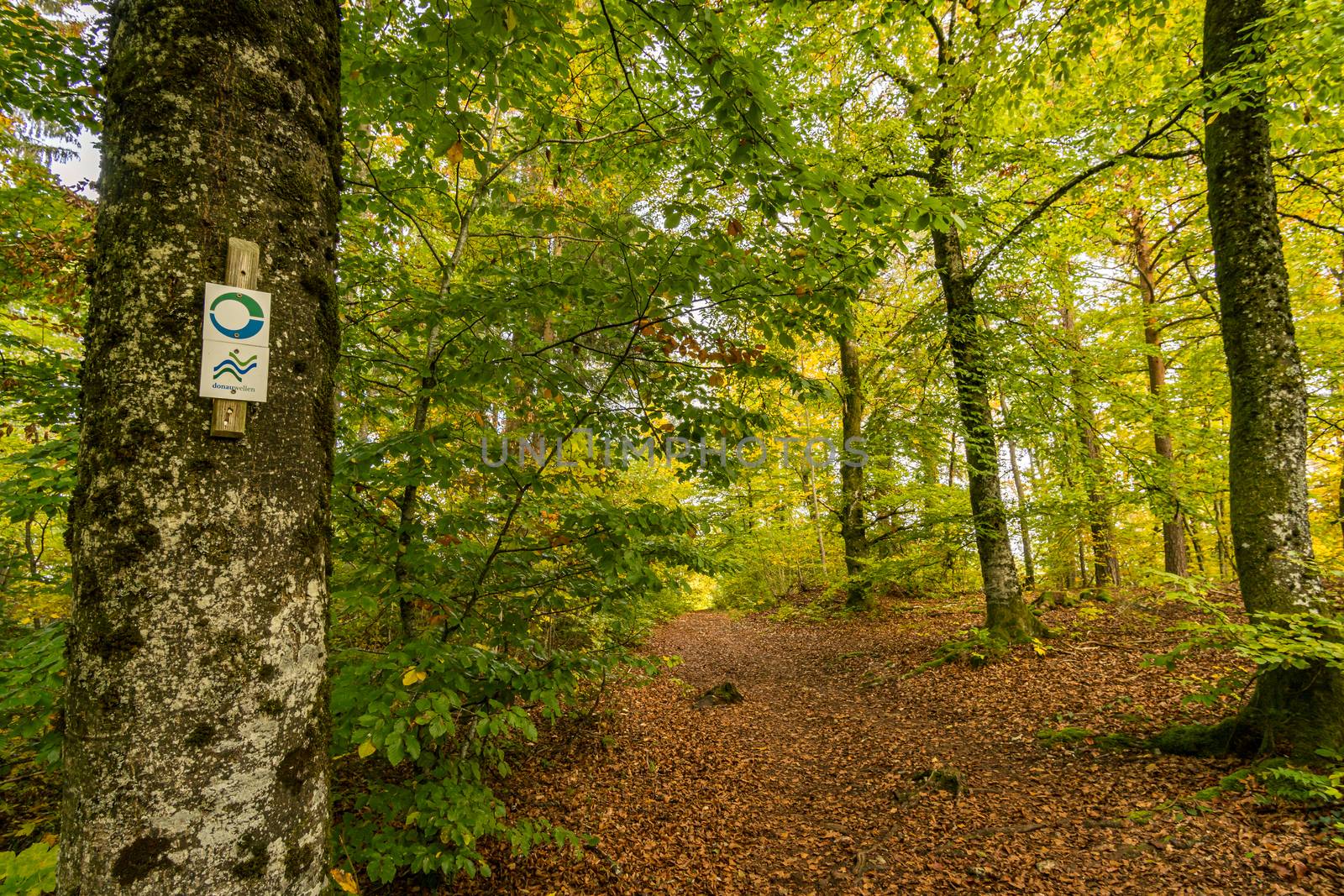 Fantastic autumn hike in the beautiful Danube valley near the Beuron monastery by mindscapephotos