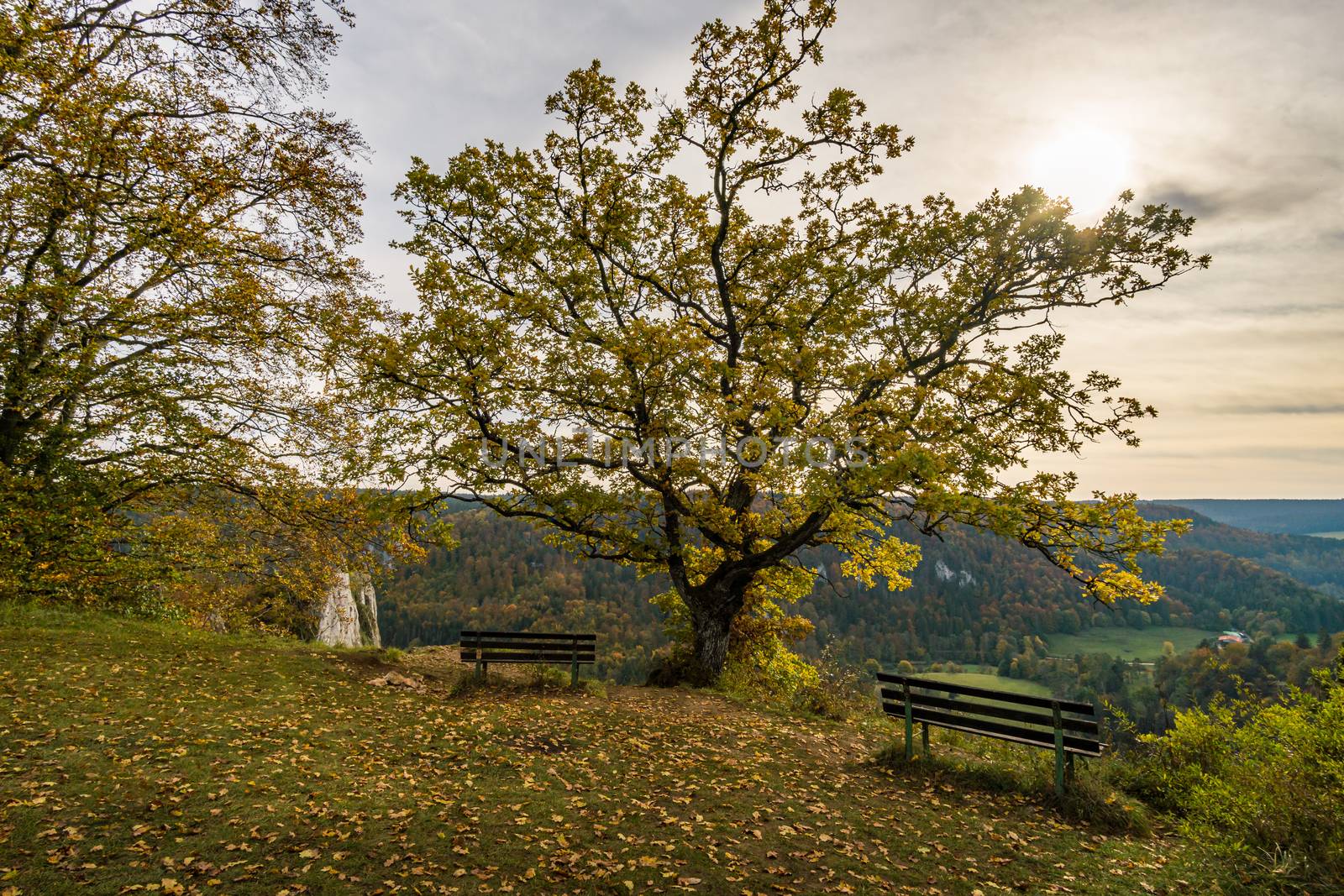 Fantastic autumn hike in the beautiful Danube valley at the Beuron monastery with beautiful views and rocks