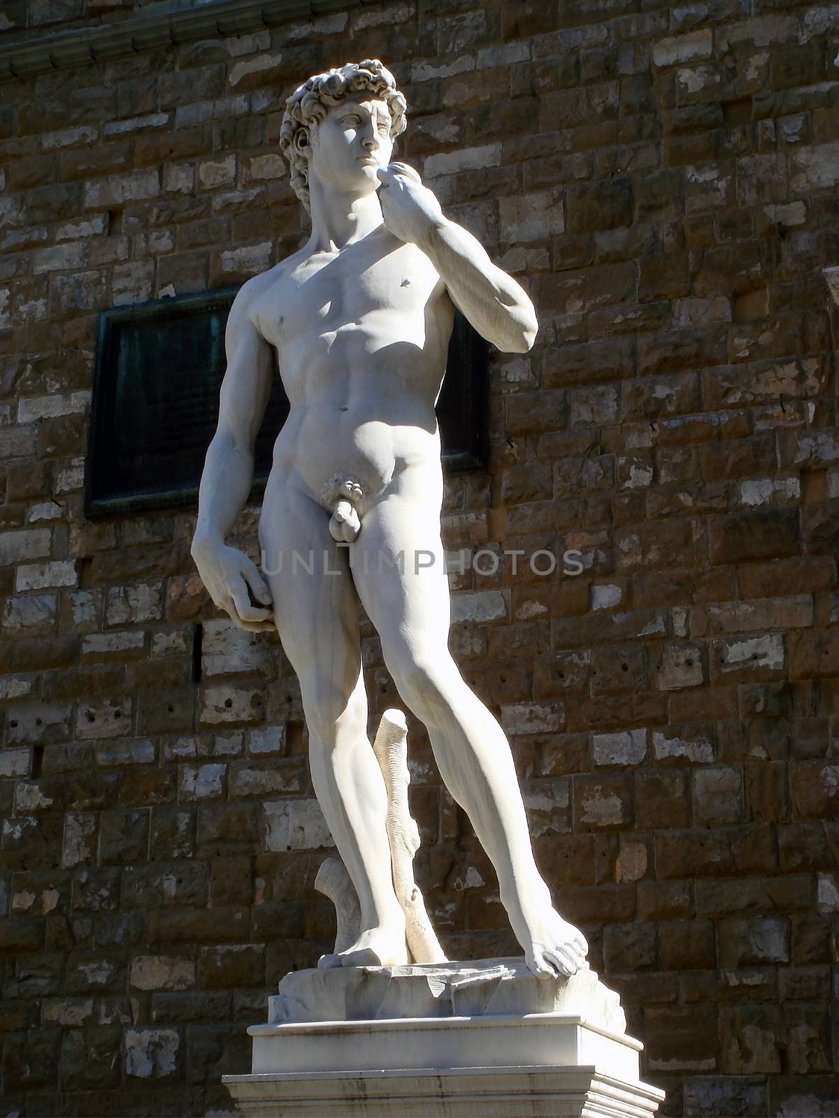 Sculpture copy of the famous David by Michelangelo in Piazza della Signoria , sunlit on stone wall background, Florence, Tuscany, Italy, Europe