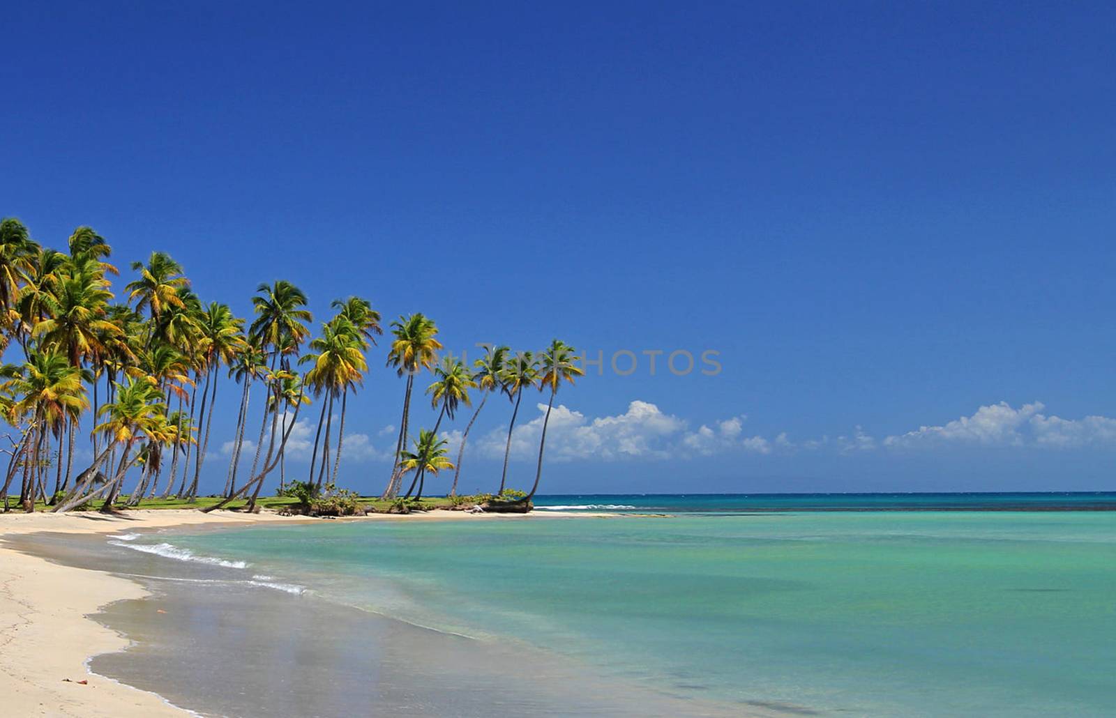 Beautiful pictures of Dominican Republic