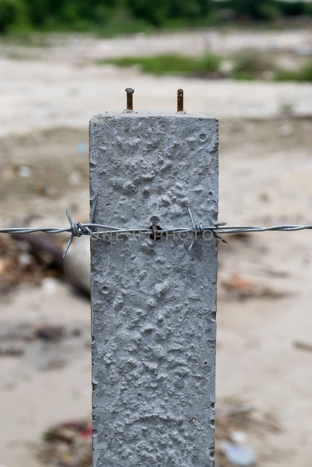 wire with clusters of short, sharp spikes set at intervals along it, used to make fences or in warfare as an obstruction.