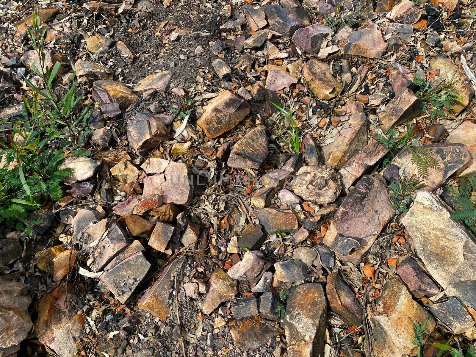 Burnt rocks on the ground after a bushfire in Australia