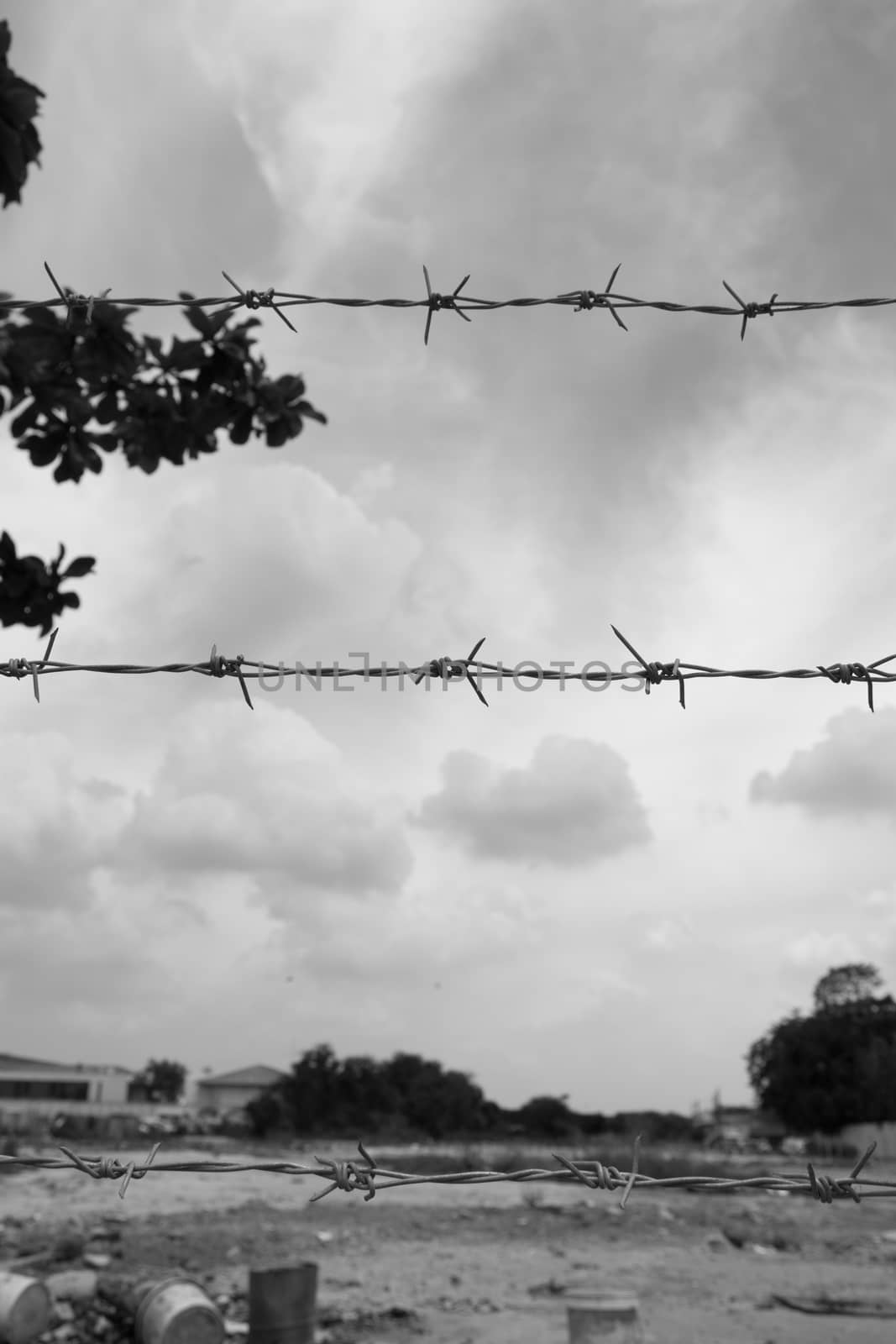 wire with clusters of short, sharp spikes set at intervals along it, used to make fences or in warfare as an obstruction.