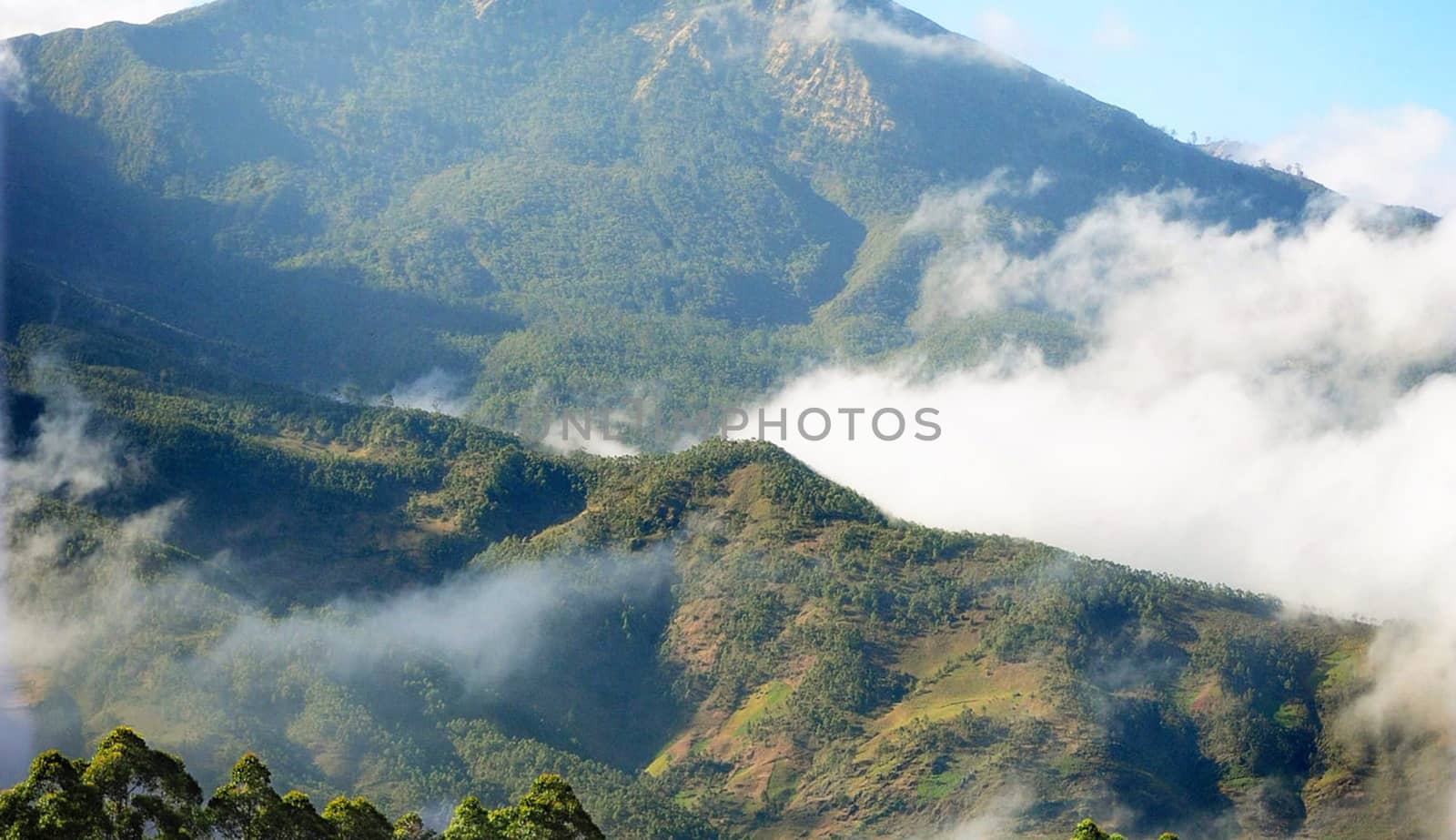Beautiful pictures of Timor-Leste