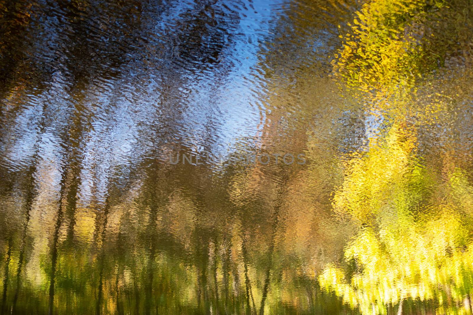 Abstract Autumn woodland reflected in flowing water by marysalen