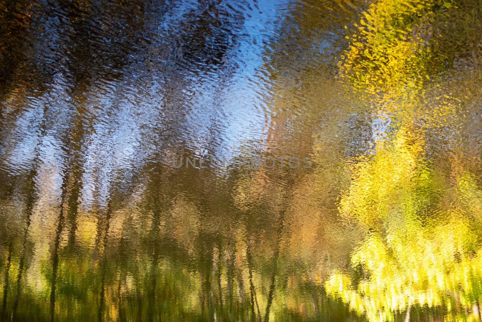 Beautiful fall colors and tree shapes in rippling moving water. Excellent color and evocative surreal imagery