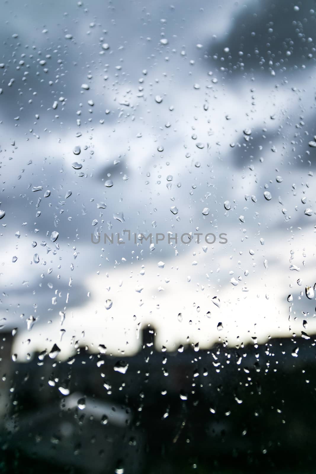 Beautiful nature wallpaper by Raining and dews drop on the glass.