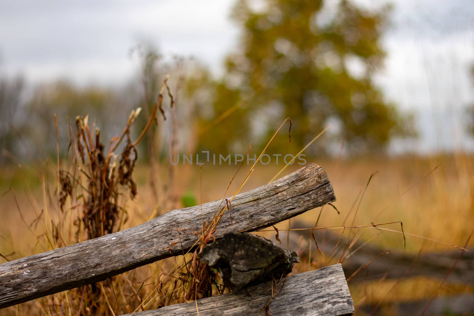 A Simple Wooden Fence With an Orange Field Behind It by bju12290
