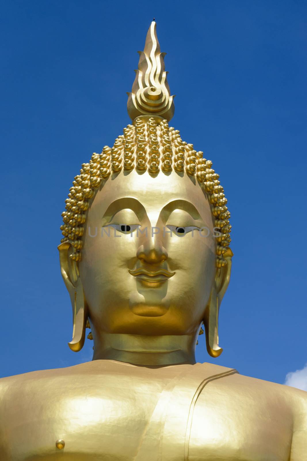 Buddha, the largest in the world.