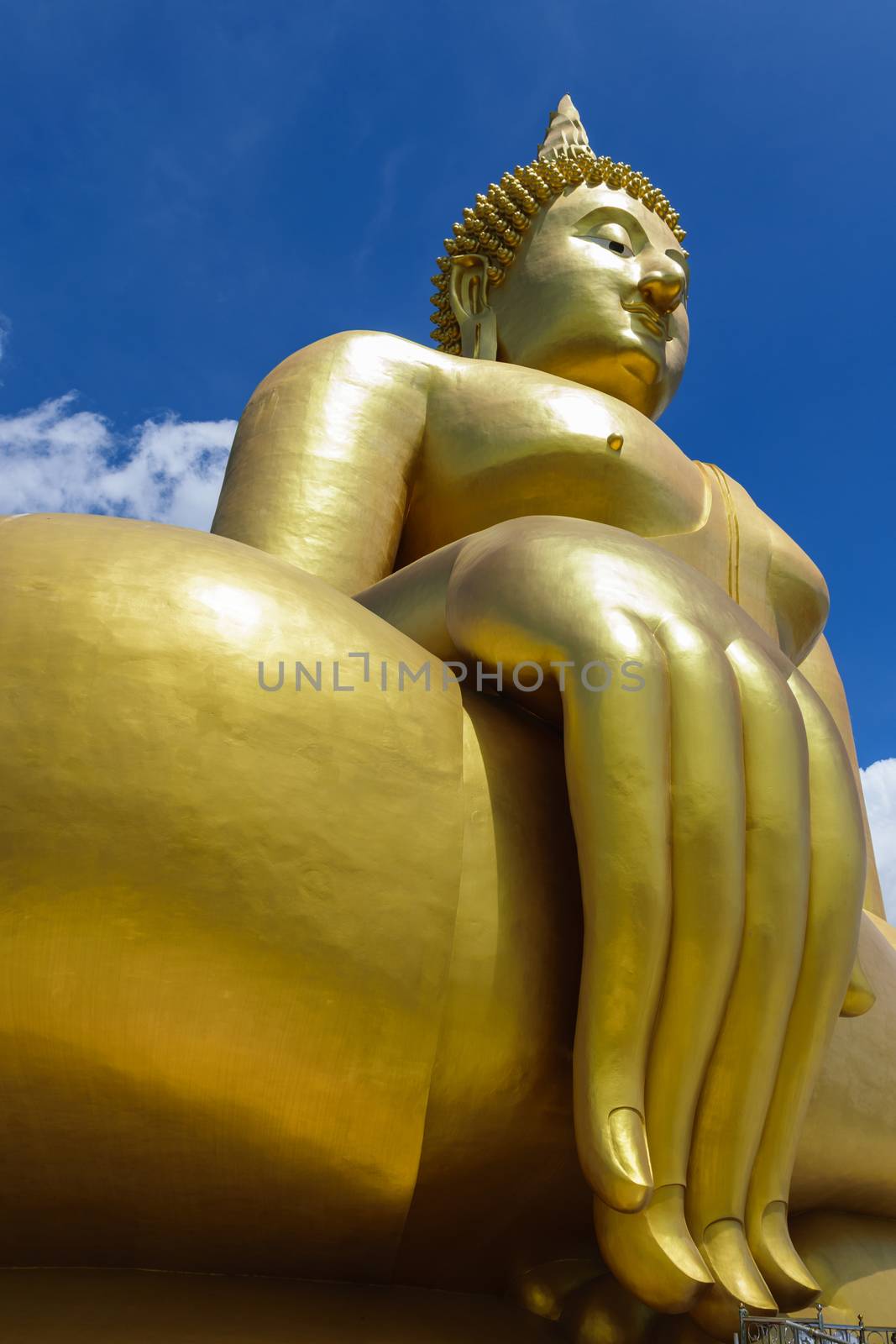 Buddha, the largest in the world.