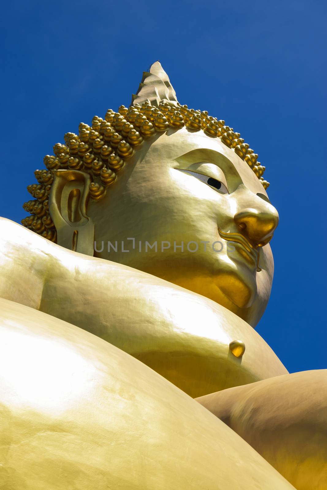 Buddha, the largest in the world.