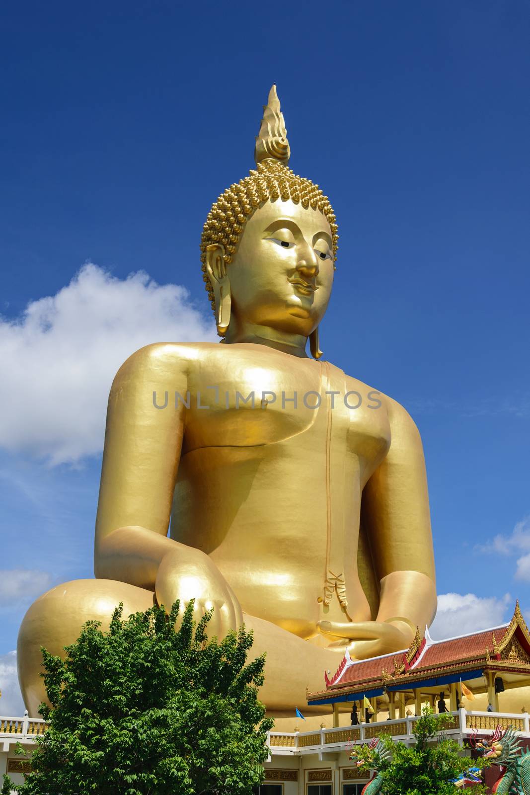 Buddha, the largest in the world. by wattanaphob