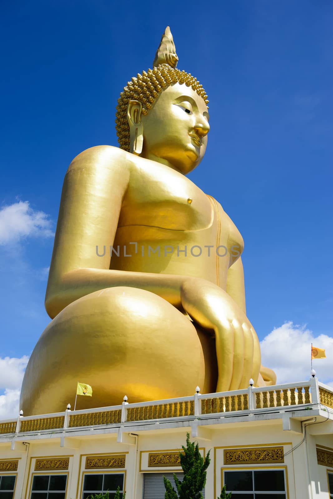 Buddha, the largest in the world. by wattanaphob