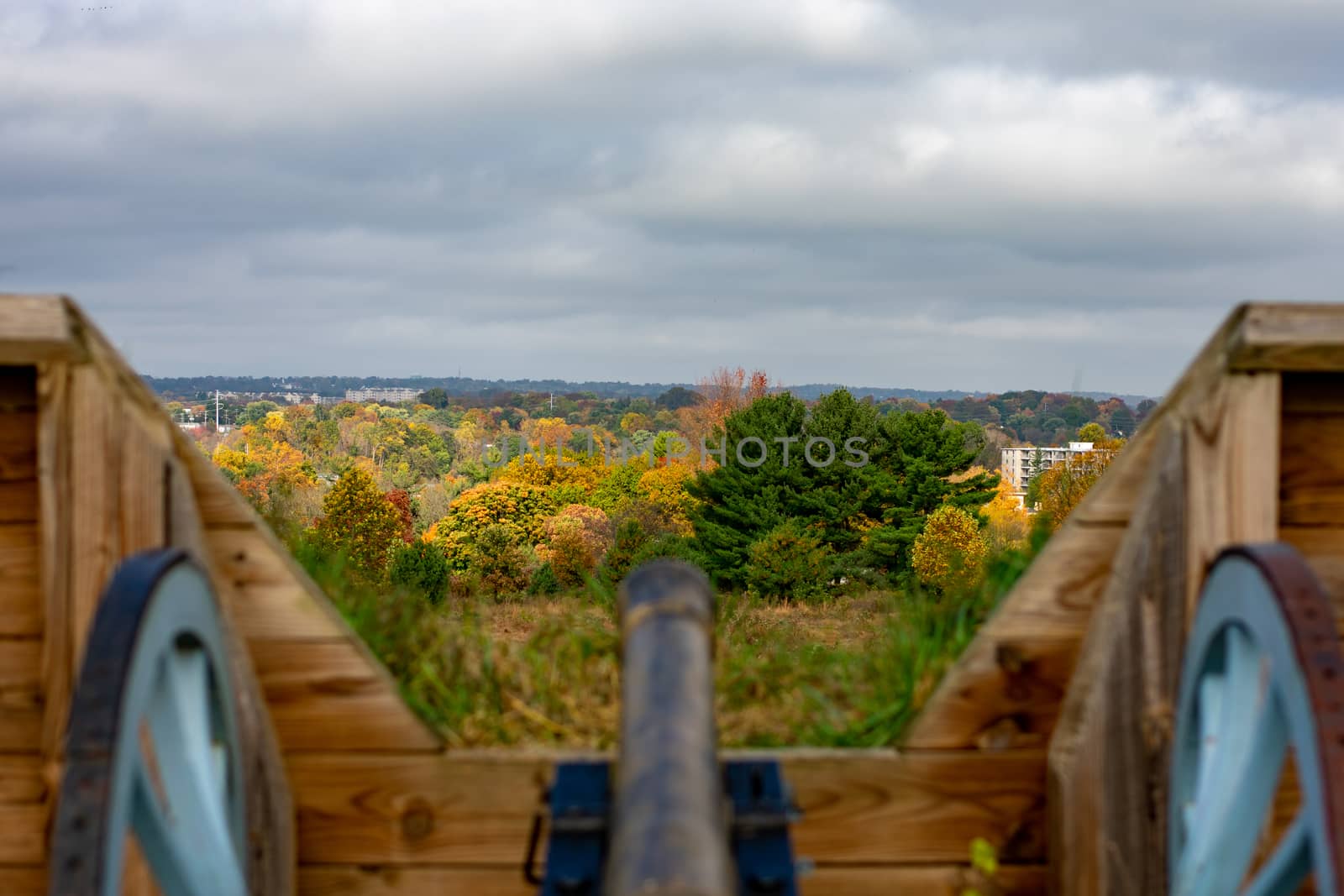 The Top of Autumn Trees Over a Cannon at Valley Forge National   by bju12290