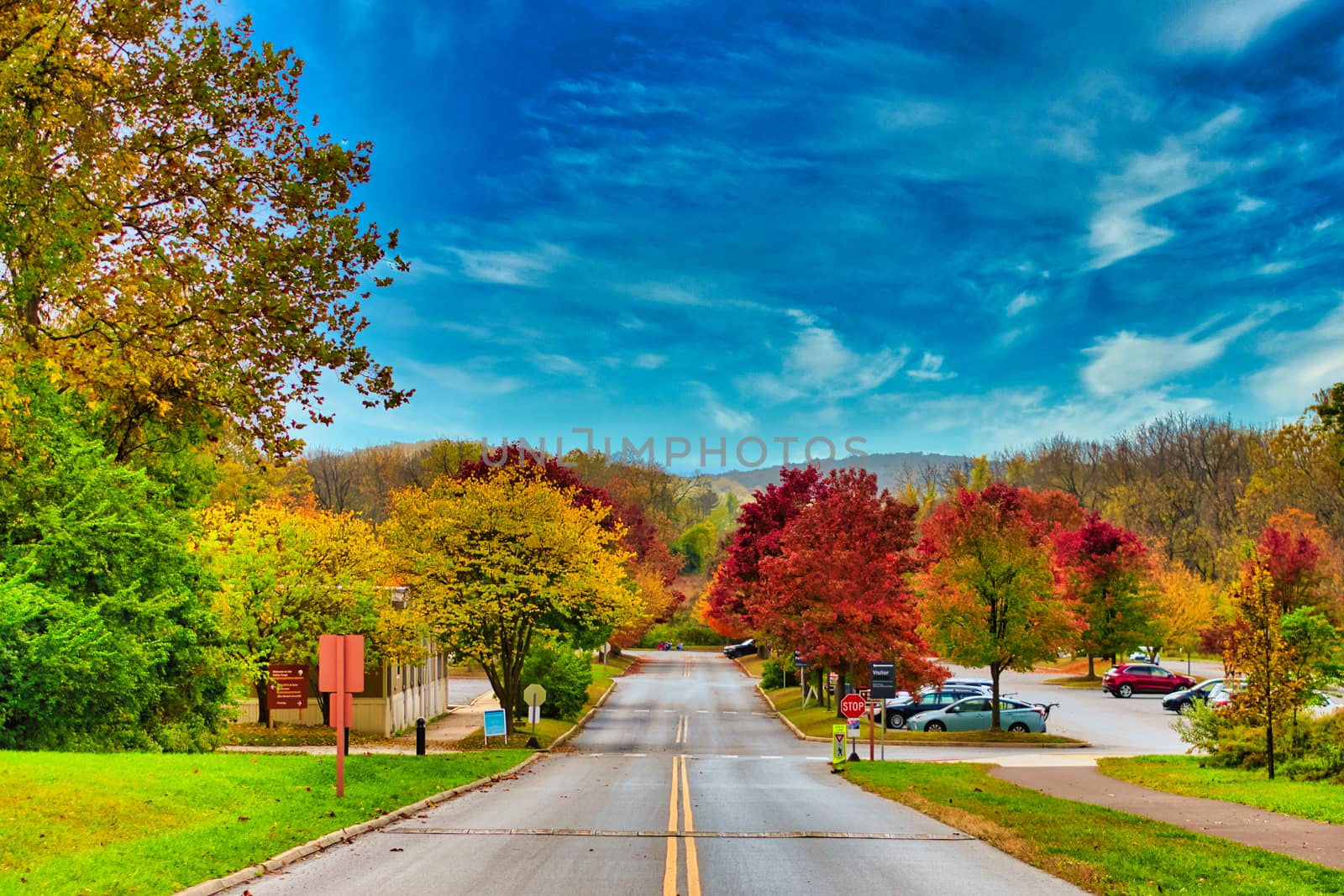 Standing in the Center of a Street With a Vibrant Autumn Forest and Mountain Range and Car Park Ahead